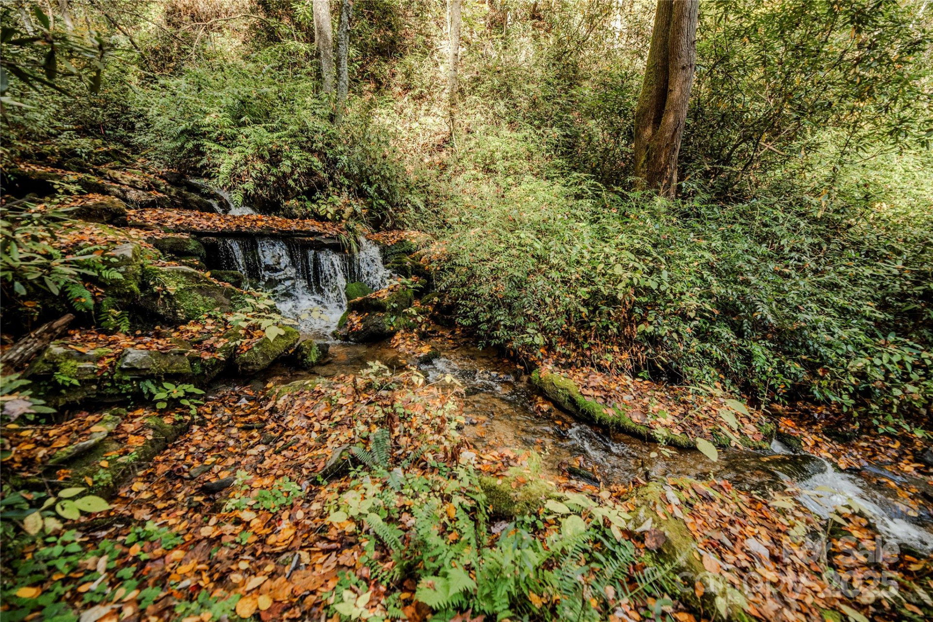 195 Still Waters Lane - Photo 2