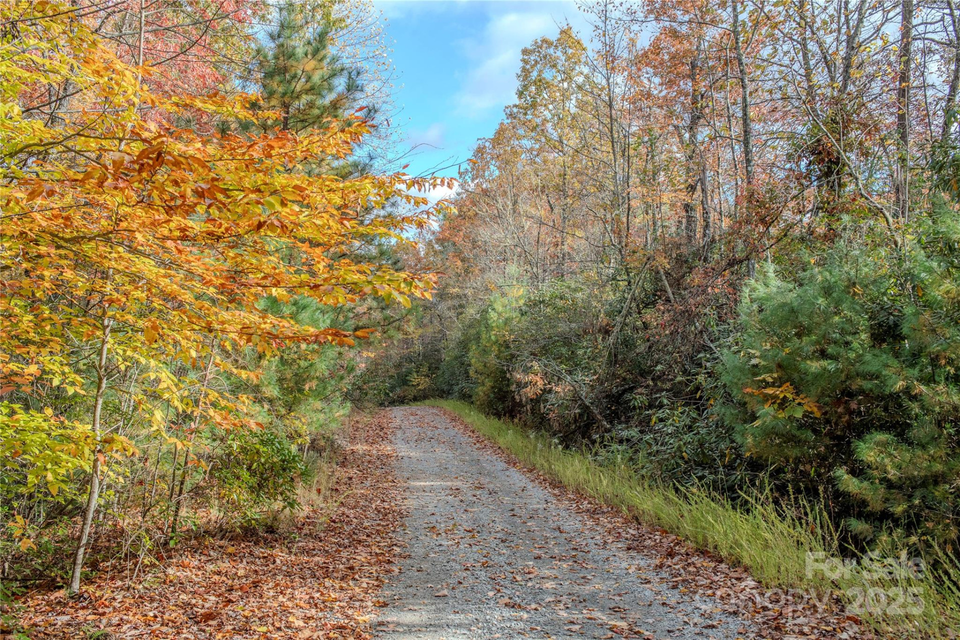 195 Still Waters Lane - Photo 46