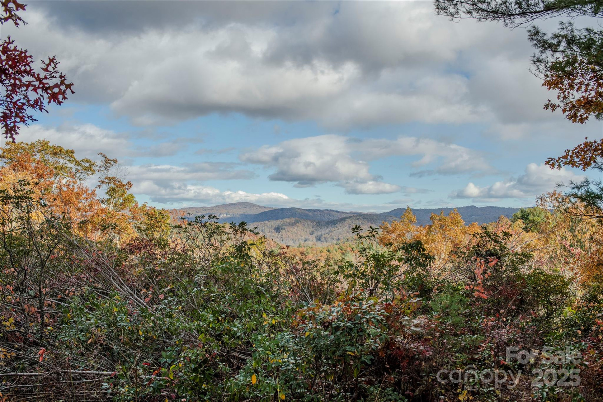 195 Still Waters Lane - Photo 47