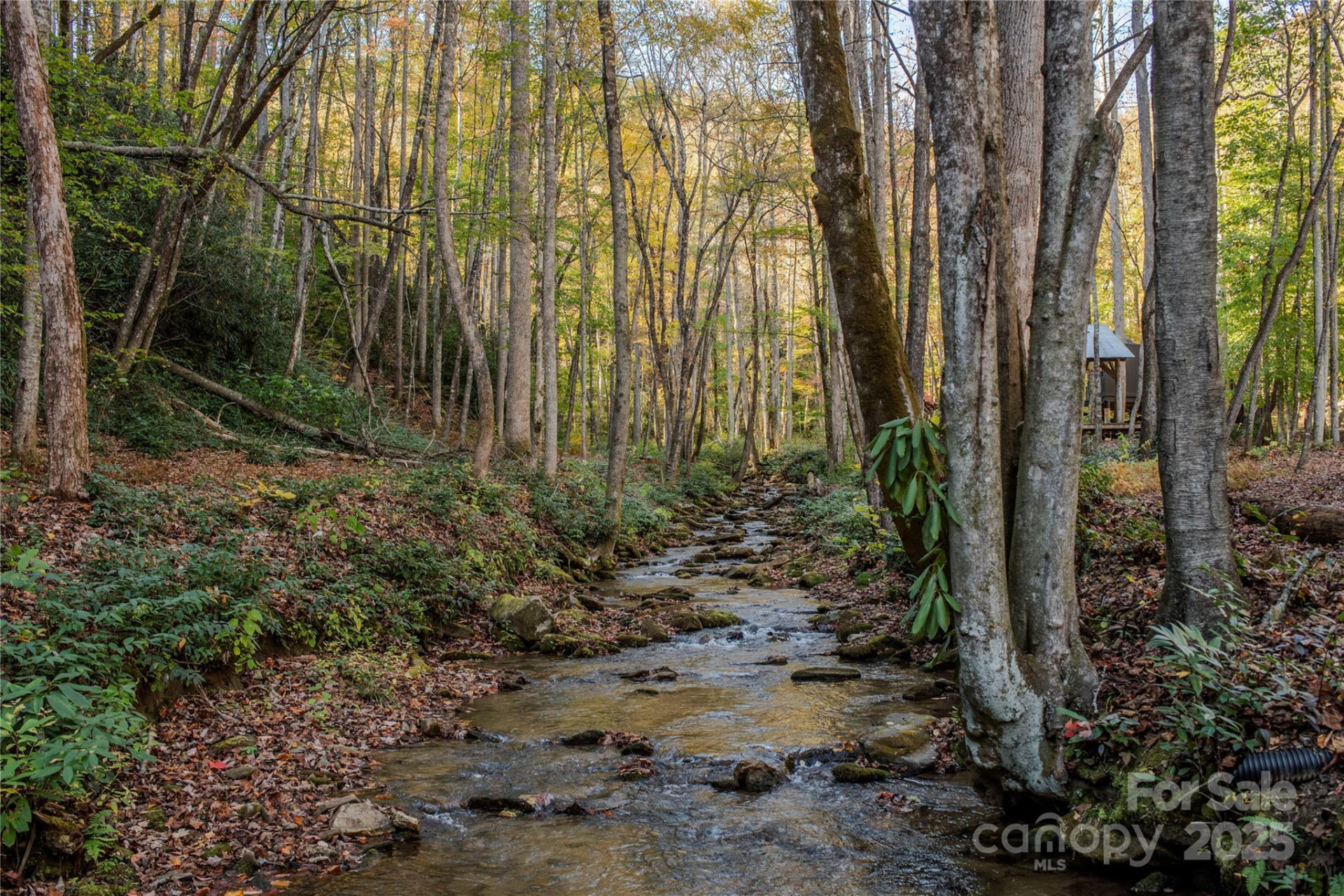 195 Still Waters Lane - Photo 8