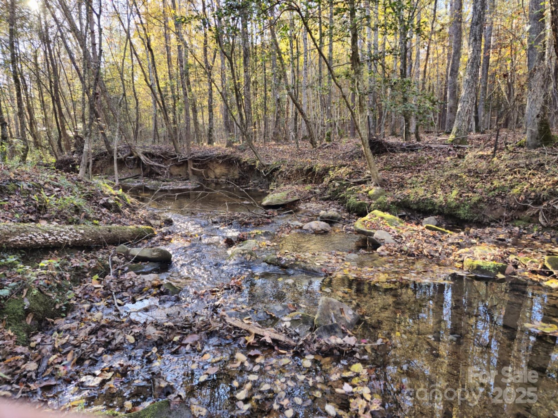382 WB Philbeck Road - Photo 26
