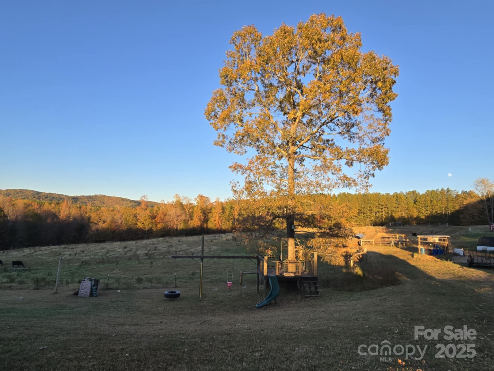 382 WB Philbeck Road - Photo 30