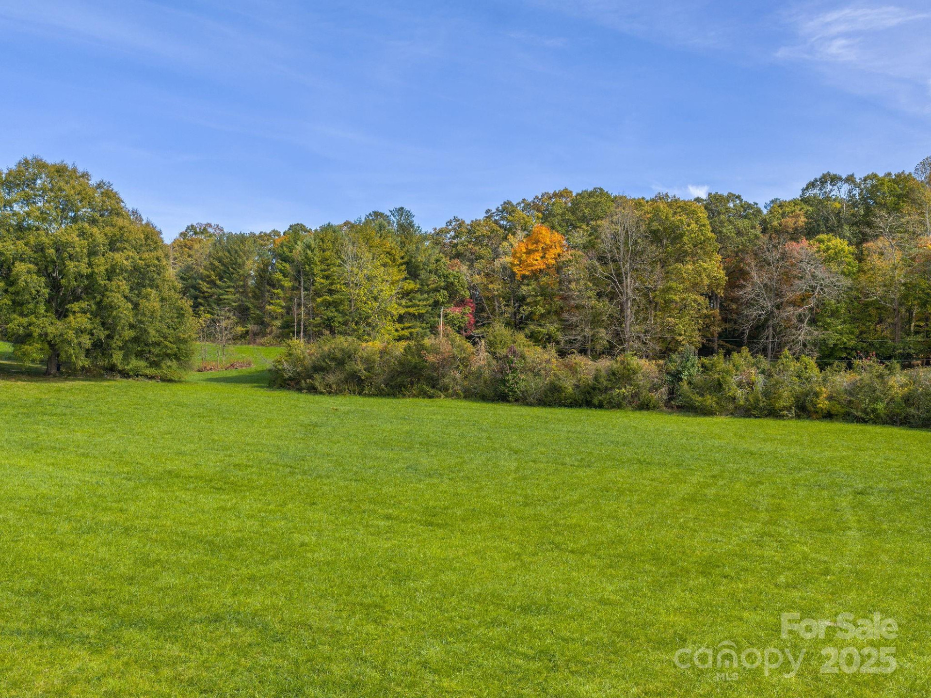 5620 Old Haywood Road - Photo 5