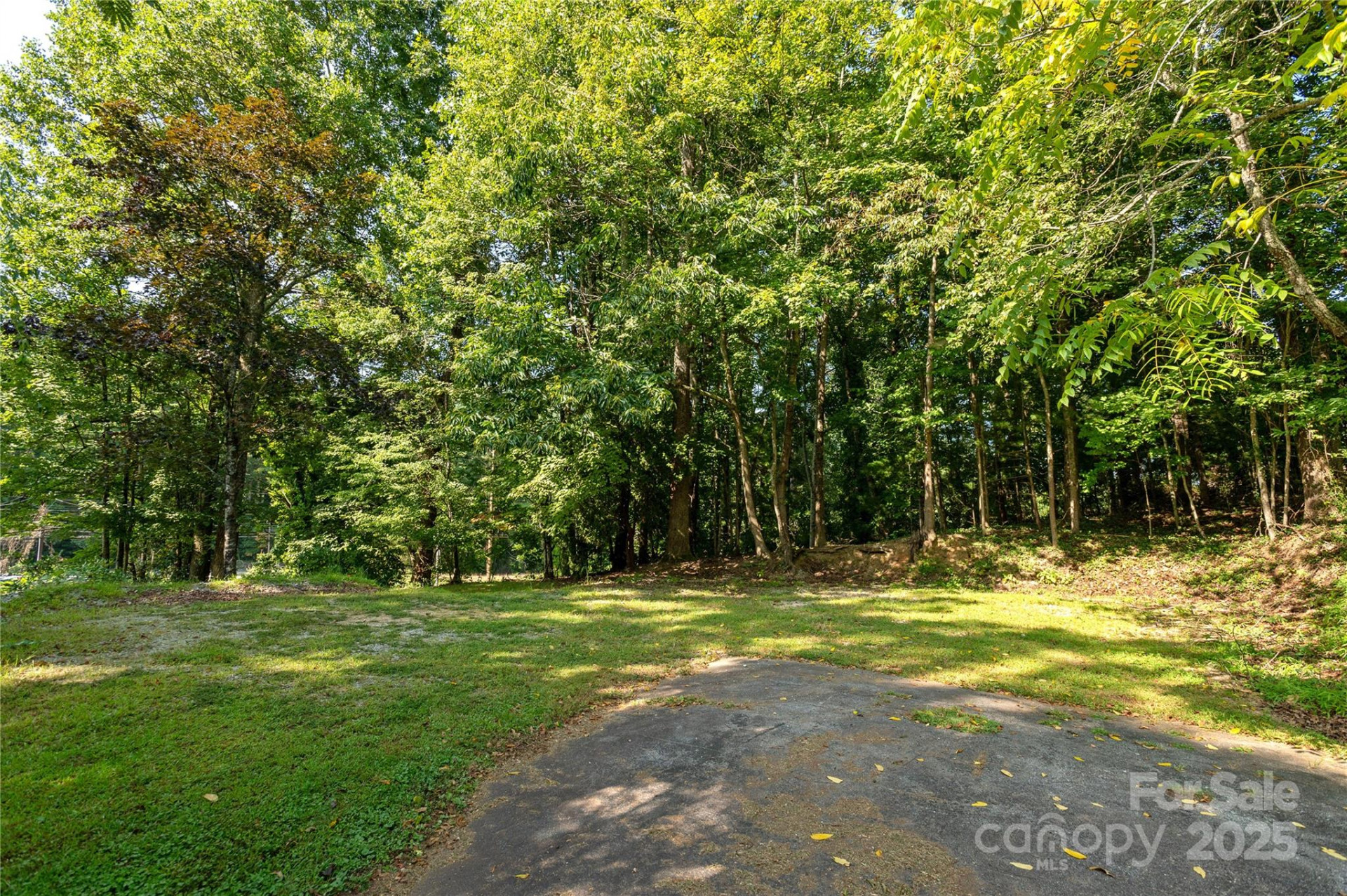 1925-B Windsor Drive - Photo 7