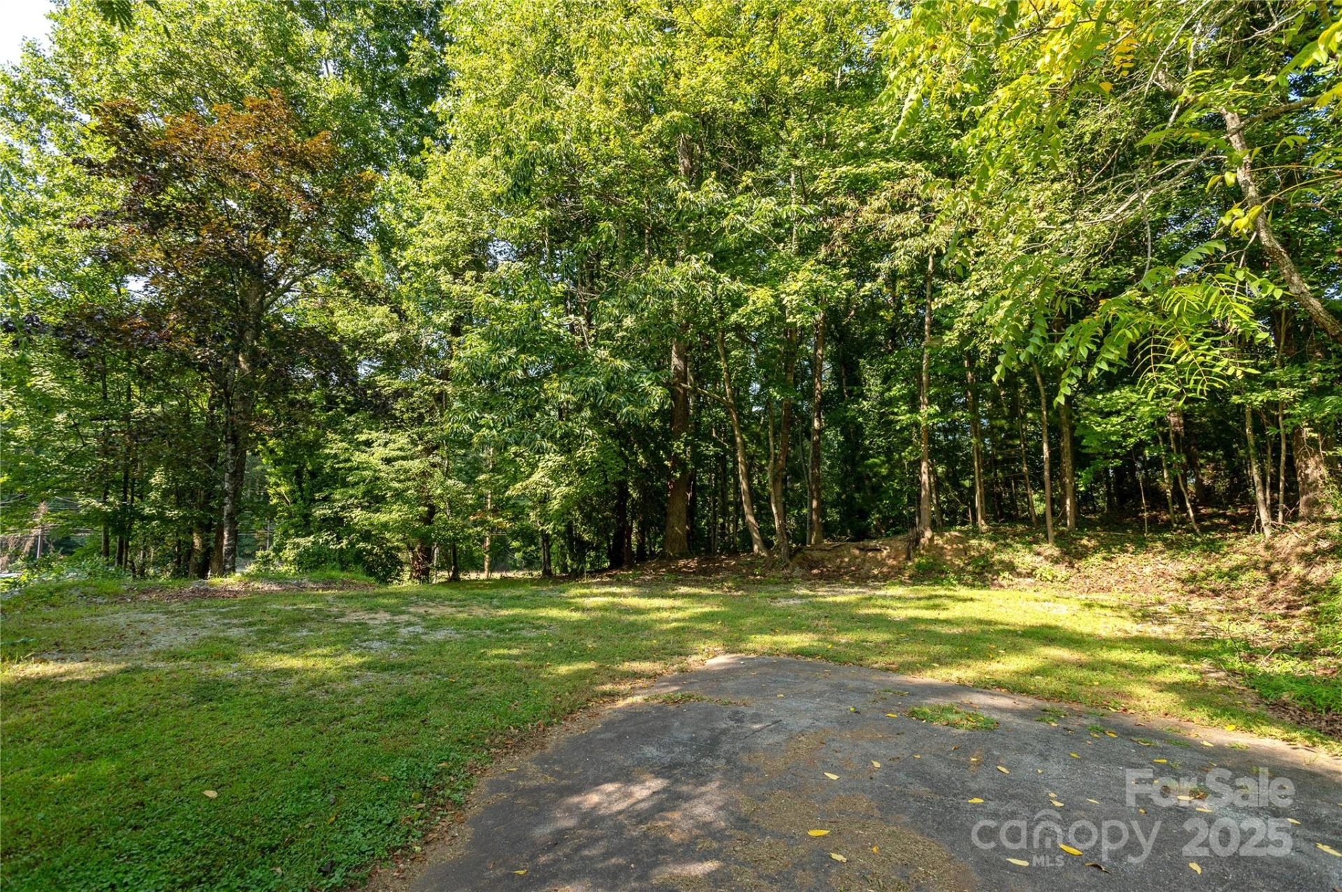 1925-A Windsor Drive - Photo 7