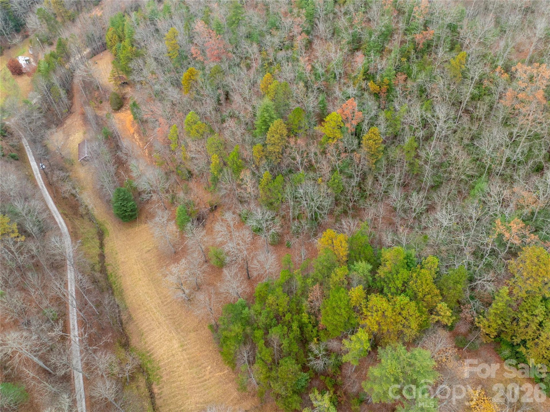 104 Robin Lane - Photo 29