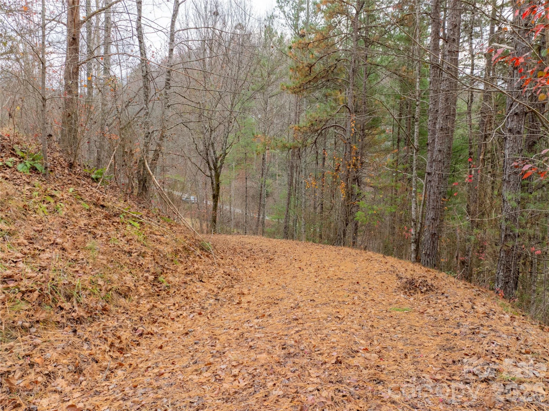 104 Robin Lane - Photo 39