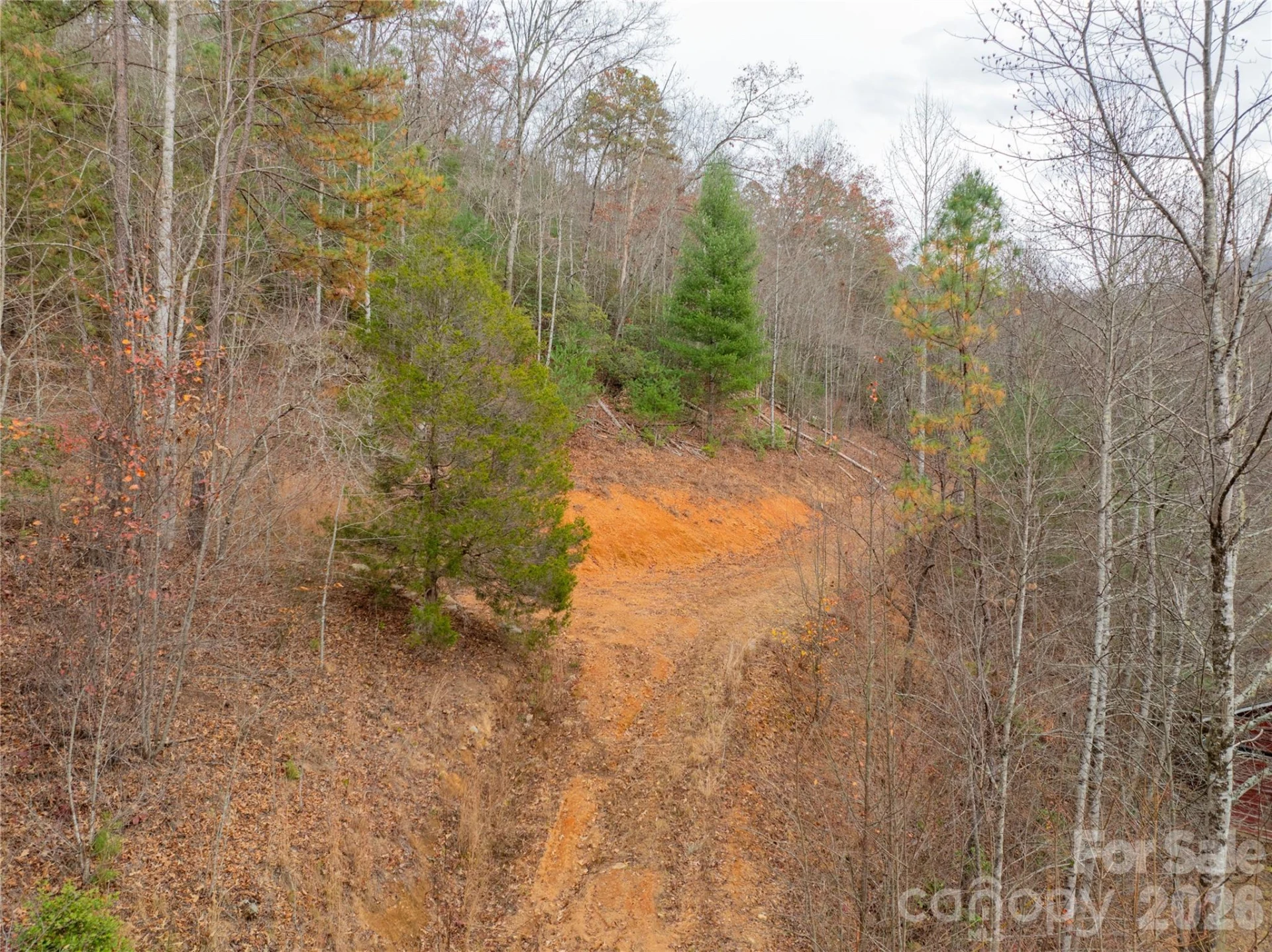 104 Robin Lane - Photo 43