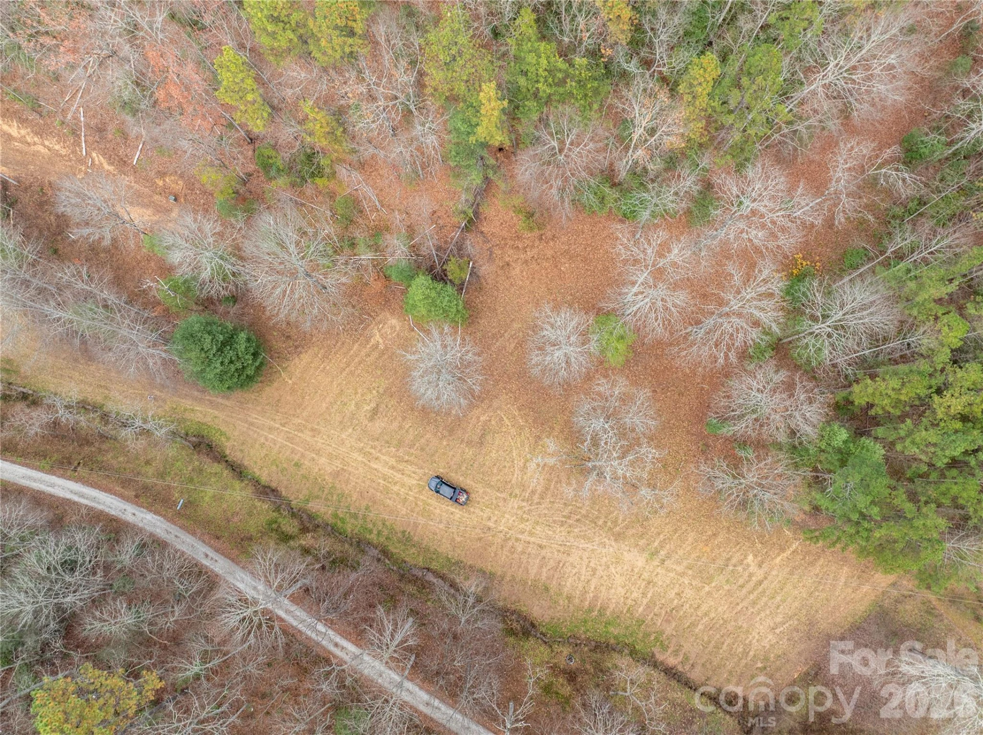 104 Robin Lane - Photo 55