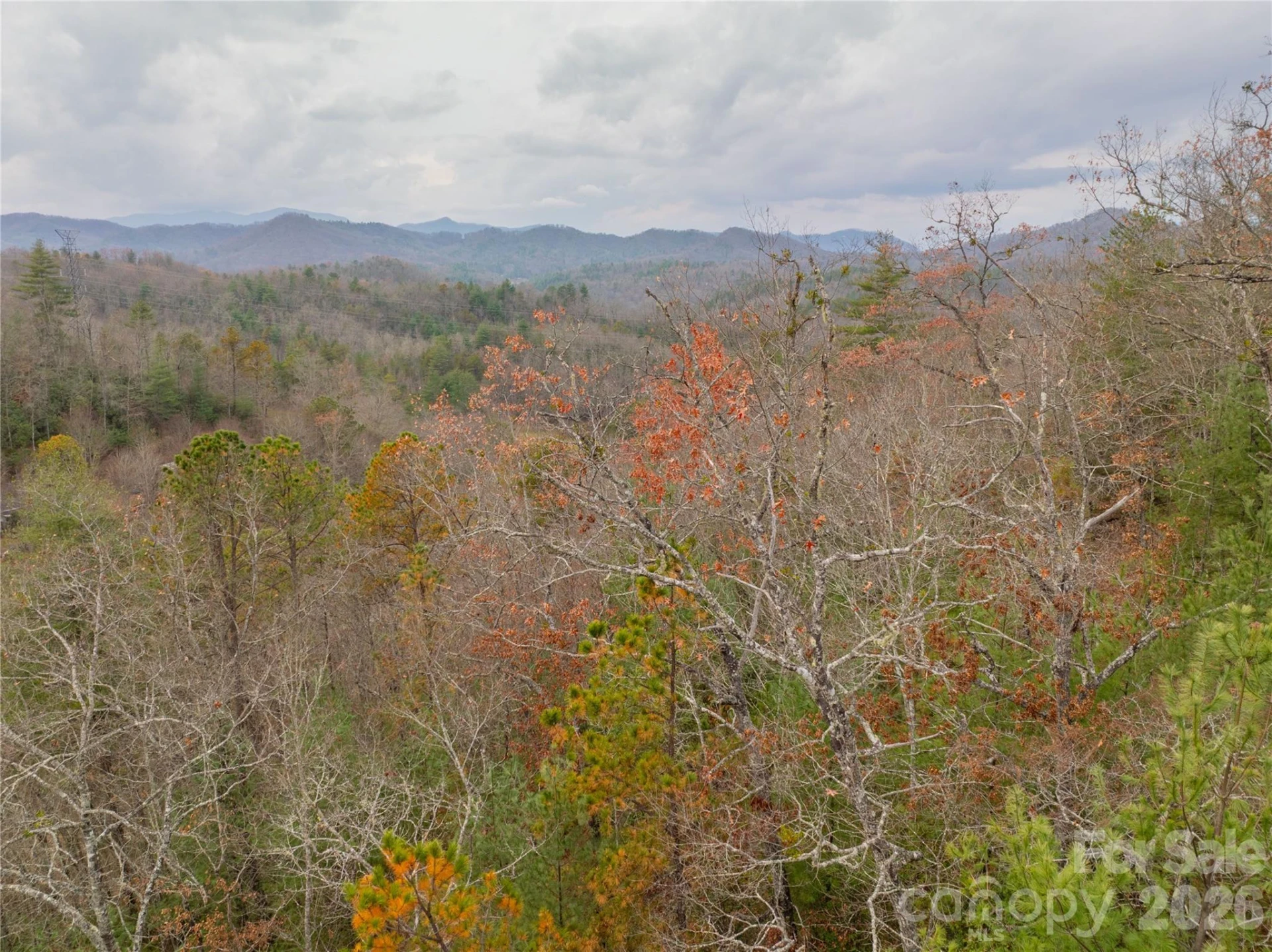 104 Robin Lane - Photo 59