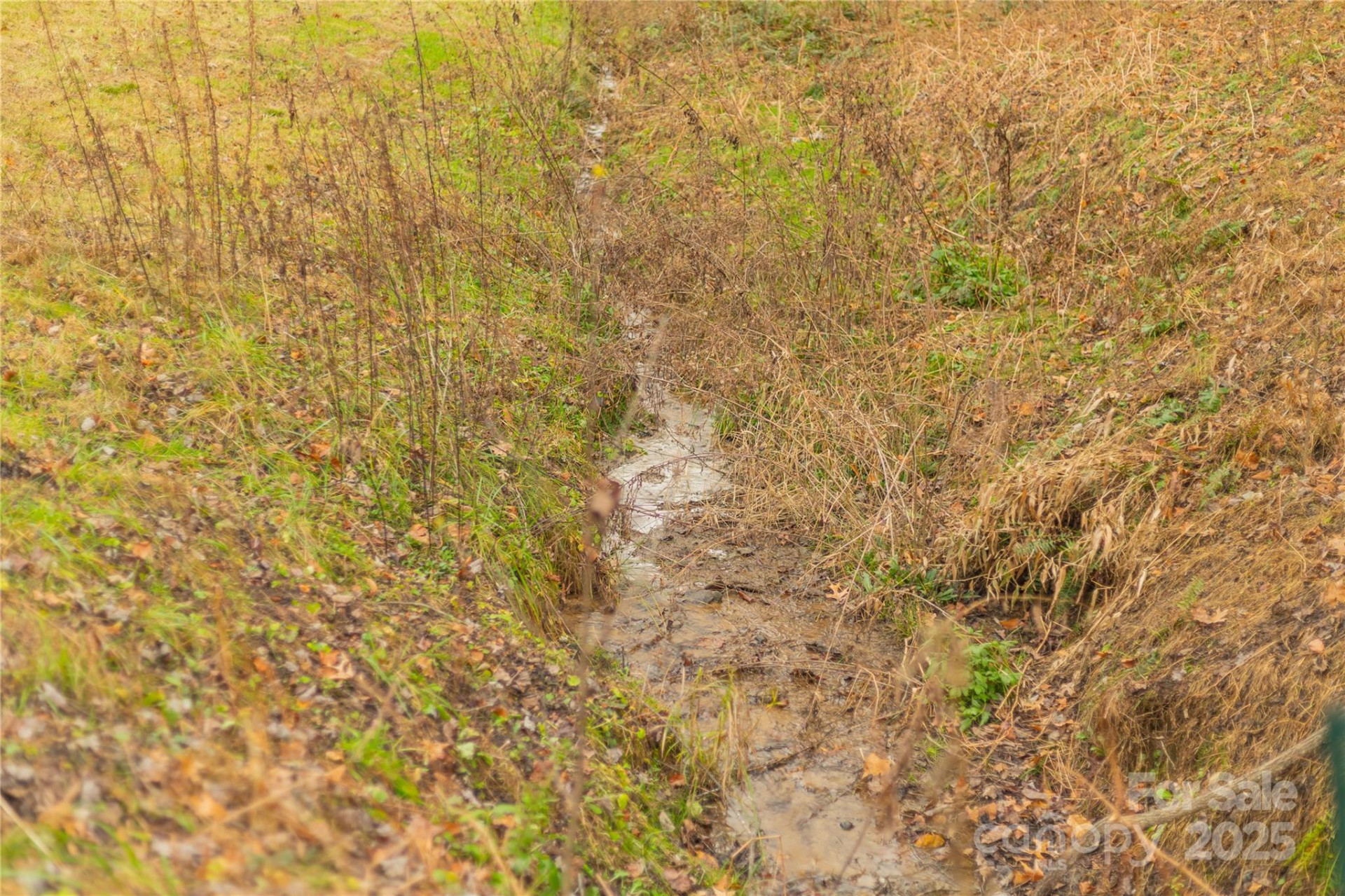 104 Robin Lane - Photo 4