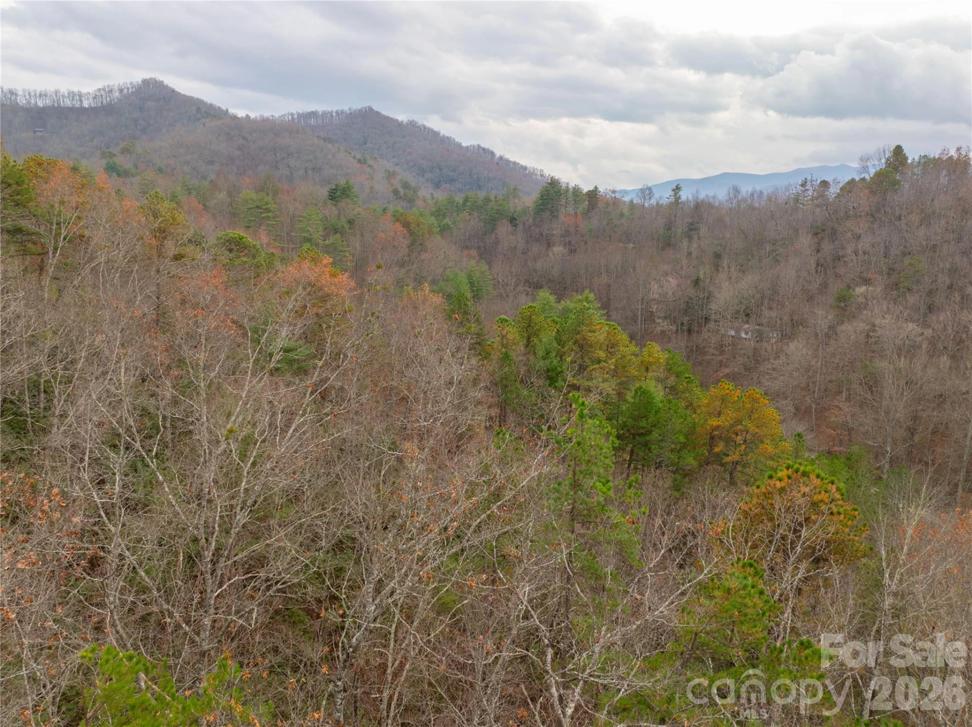 104 Robin Lane - Photo 61