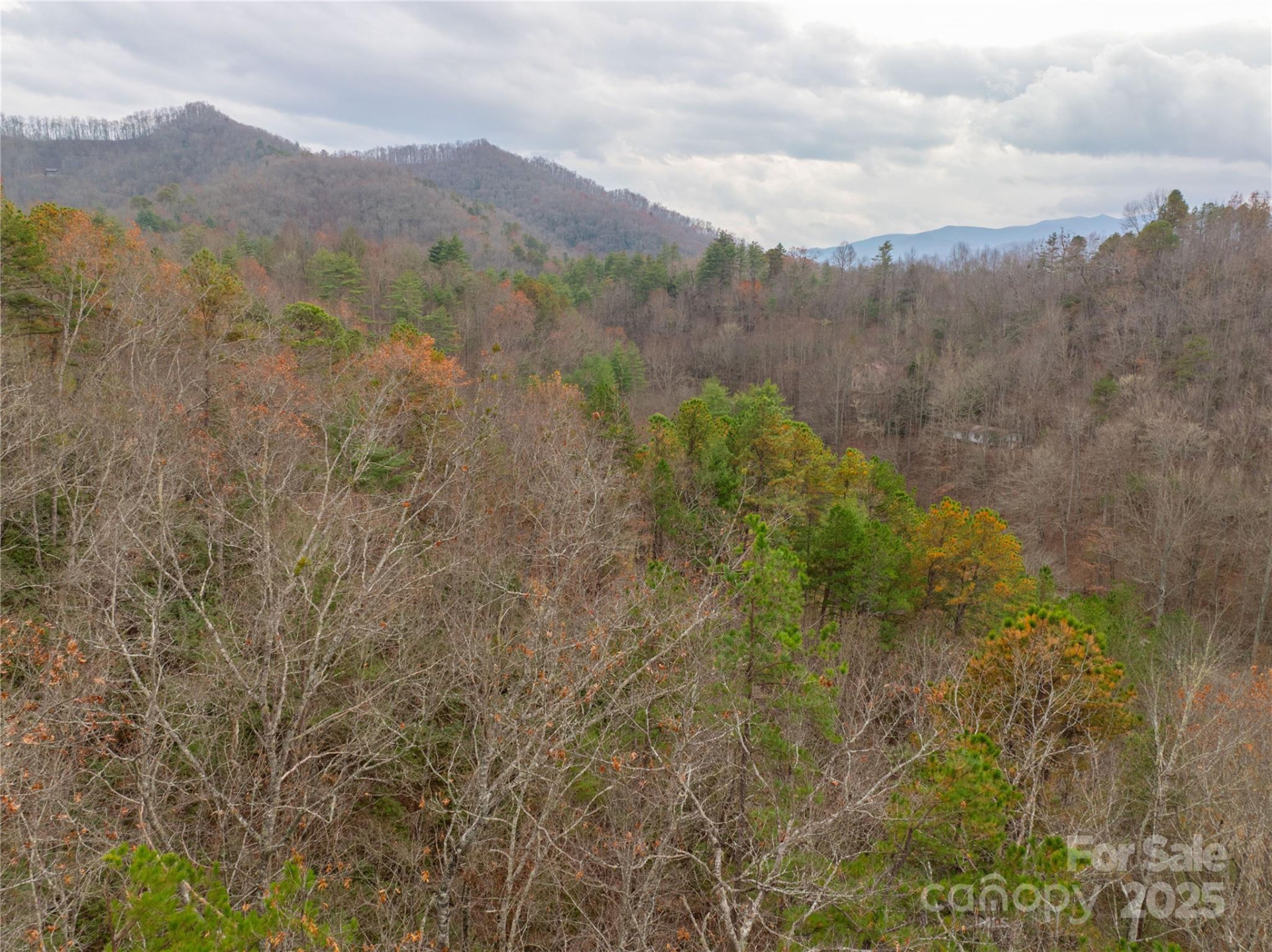 104 Robin Lane - Photo 32