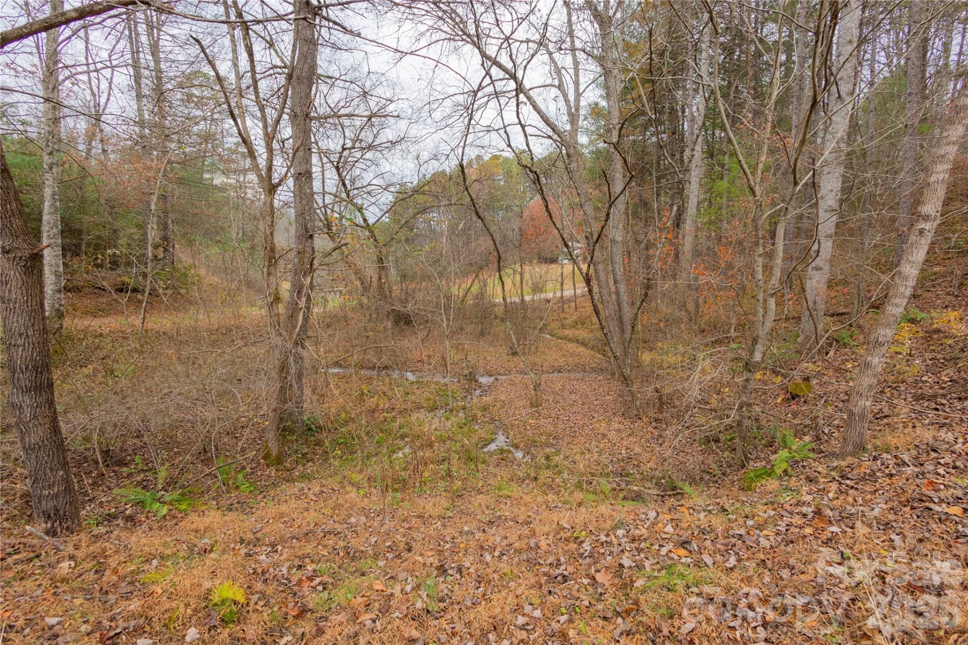 104 Robin Lane - Photo 63