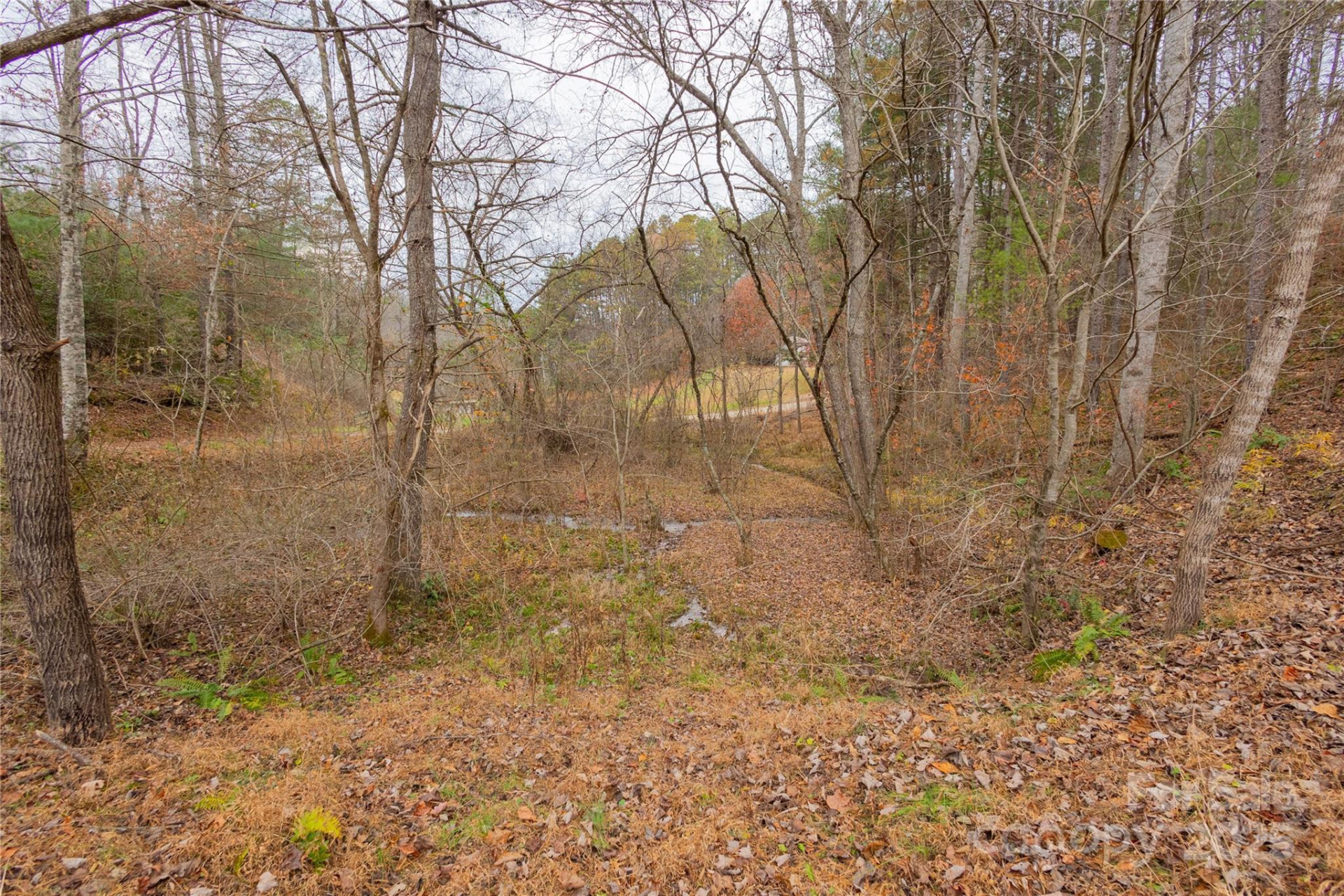 104 Robin Lane - Photo 33