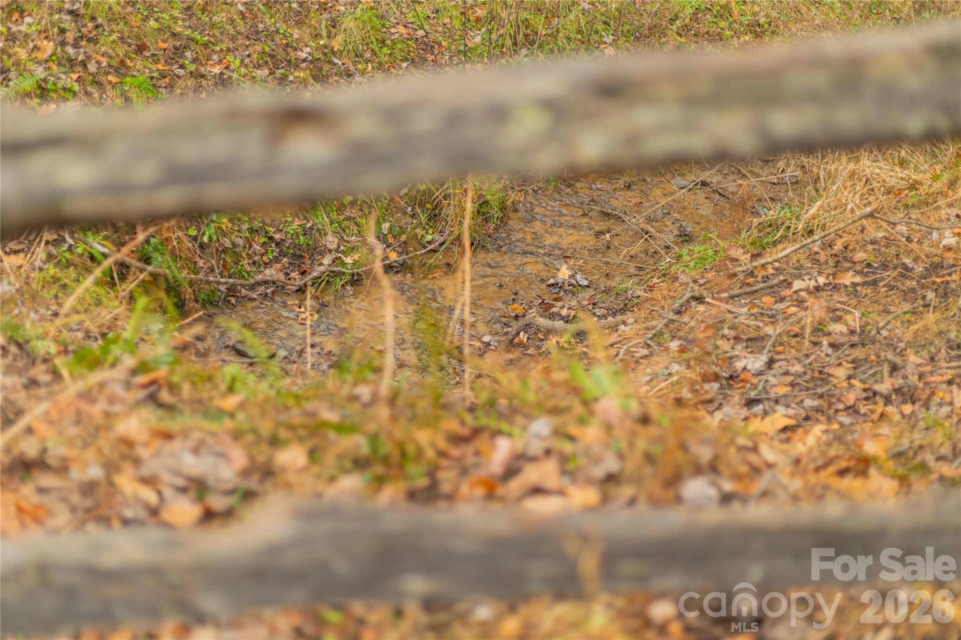 104 Robin Lane - Photo 79