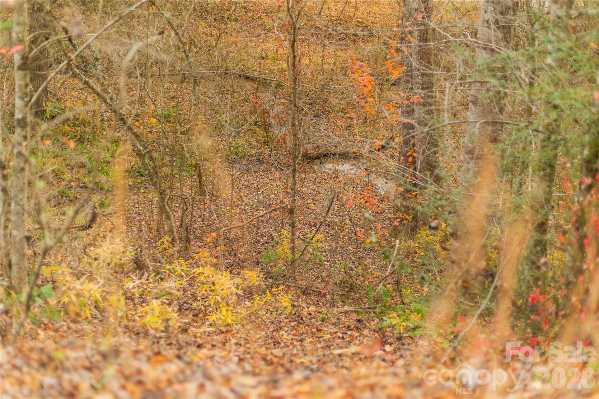 104 Robin Lane - Photo 81