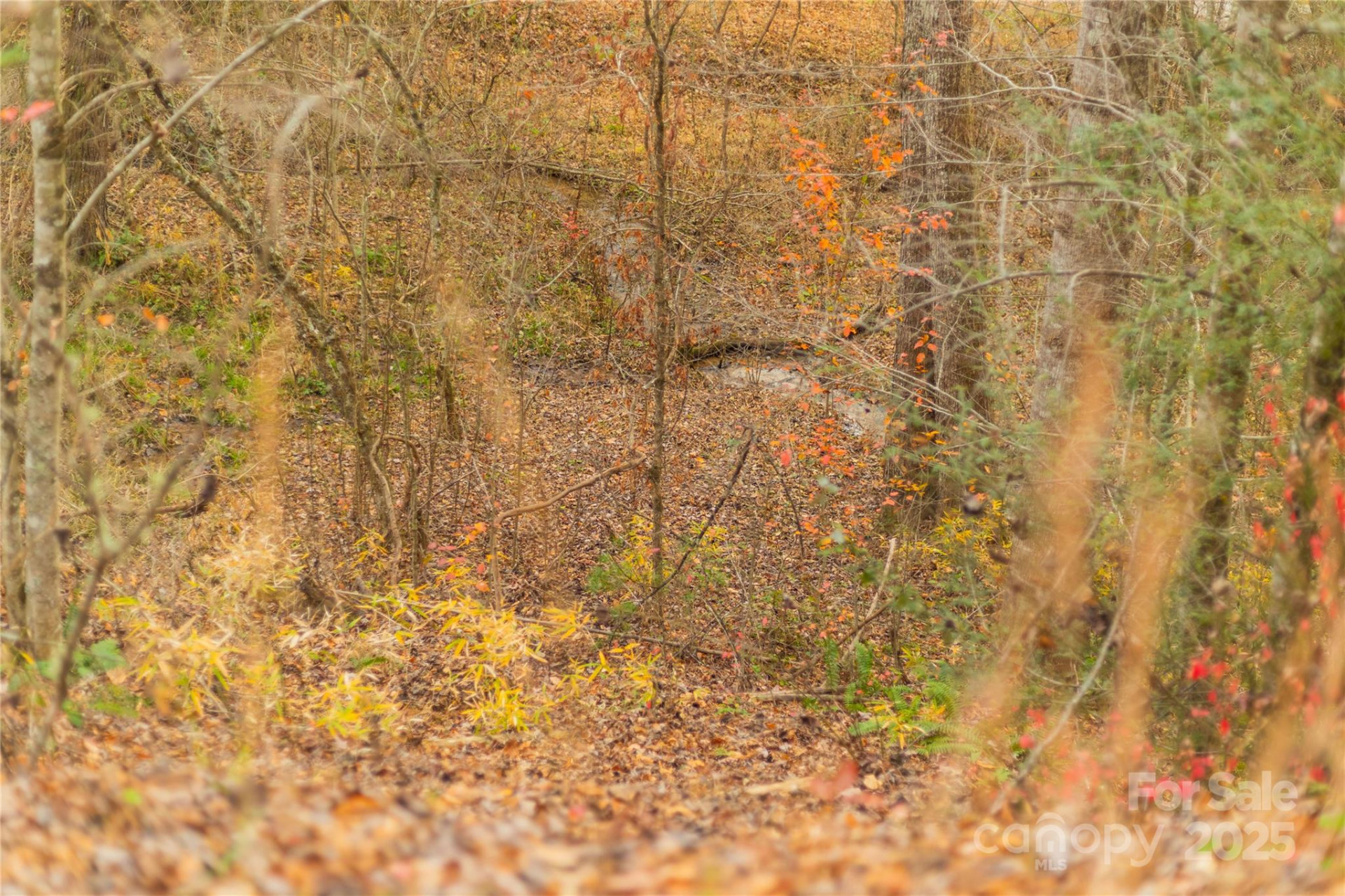 104 Robin Lane - Photo 42