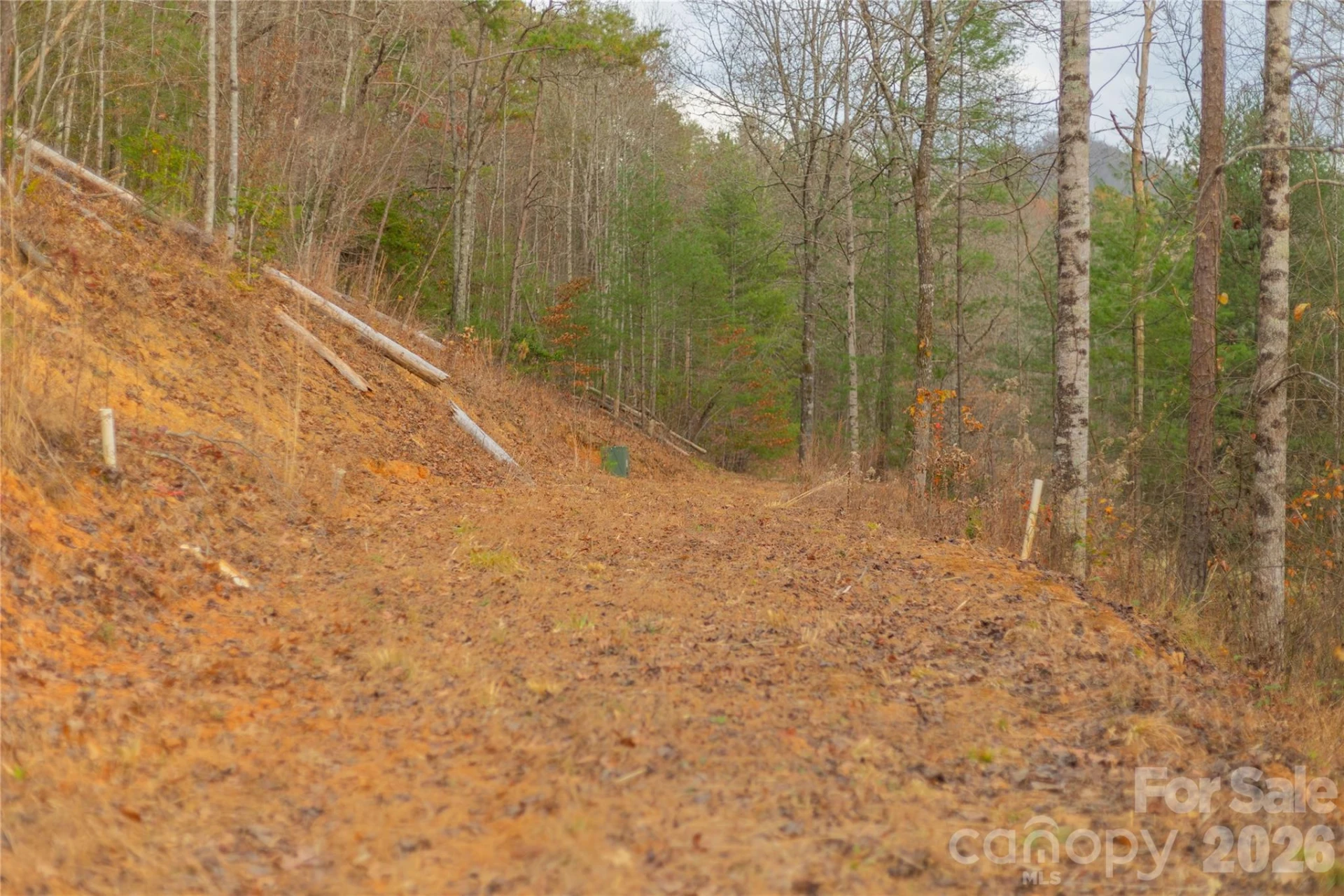 104 Robin Lane - Photo 83