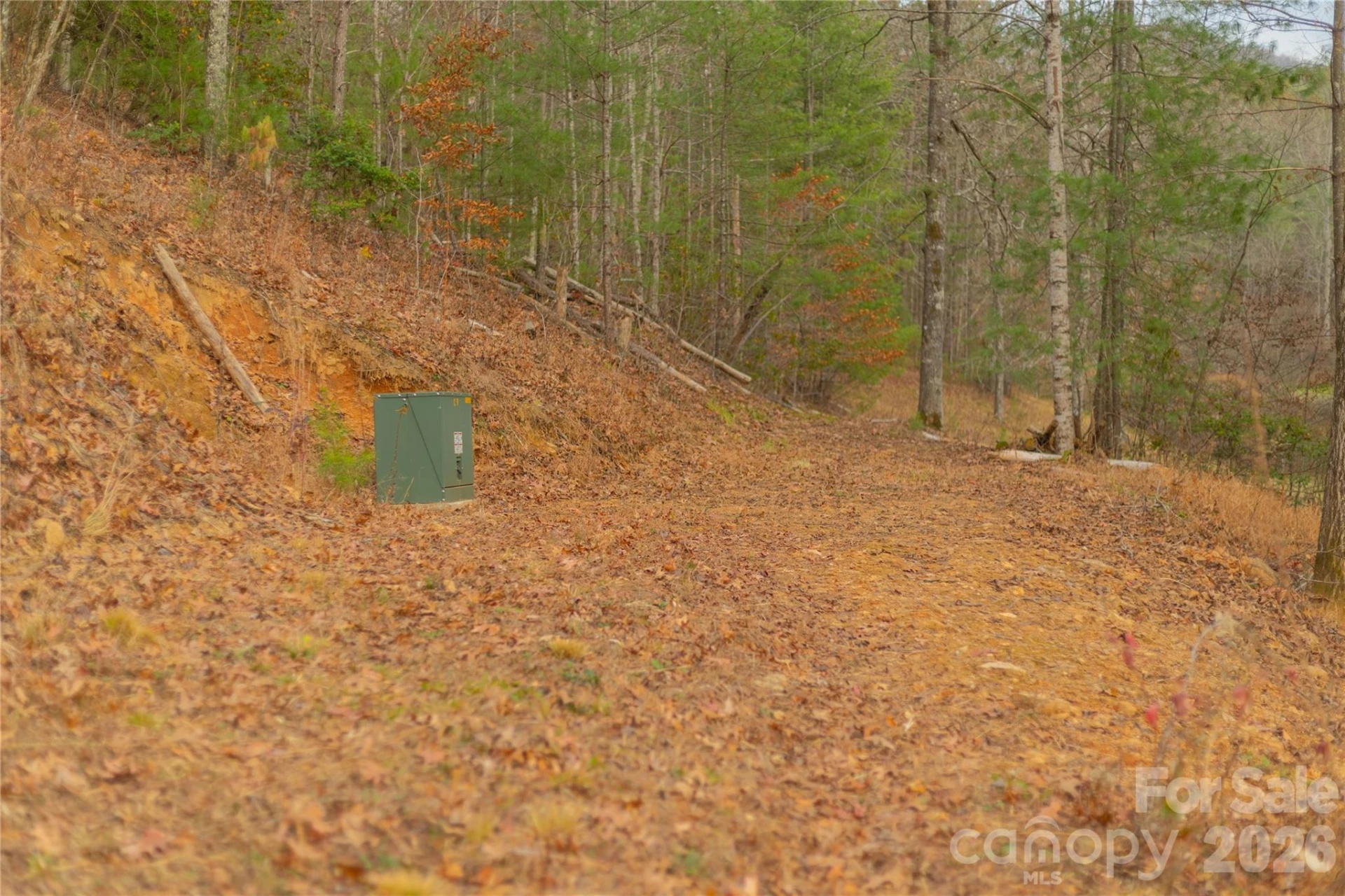 104 Robin Lane - Photo 85
