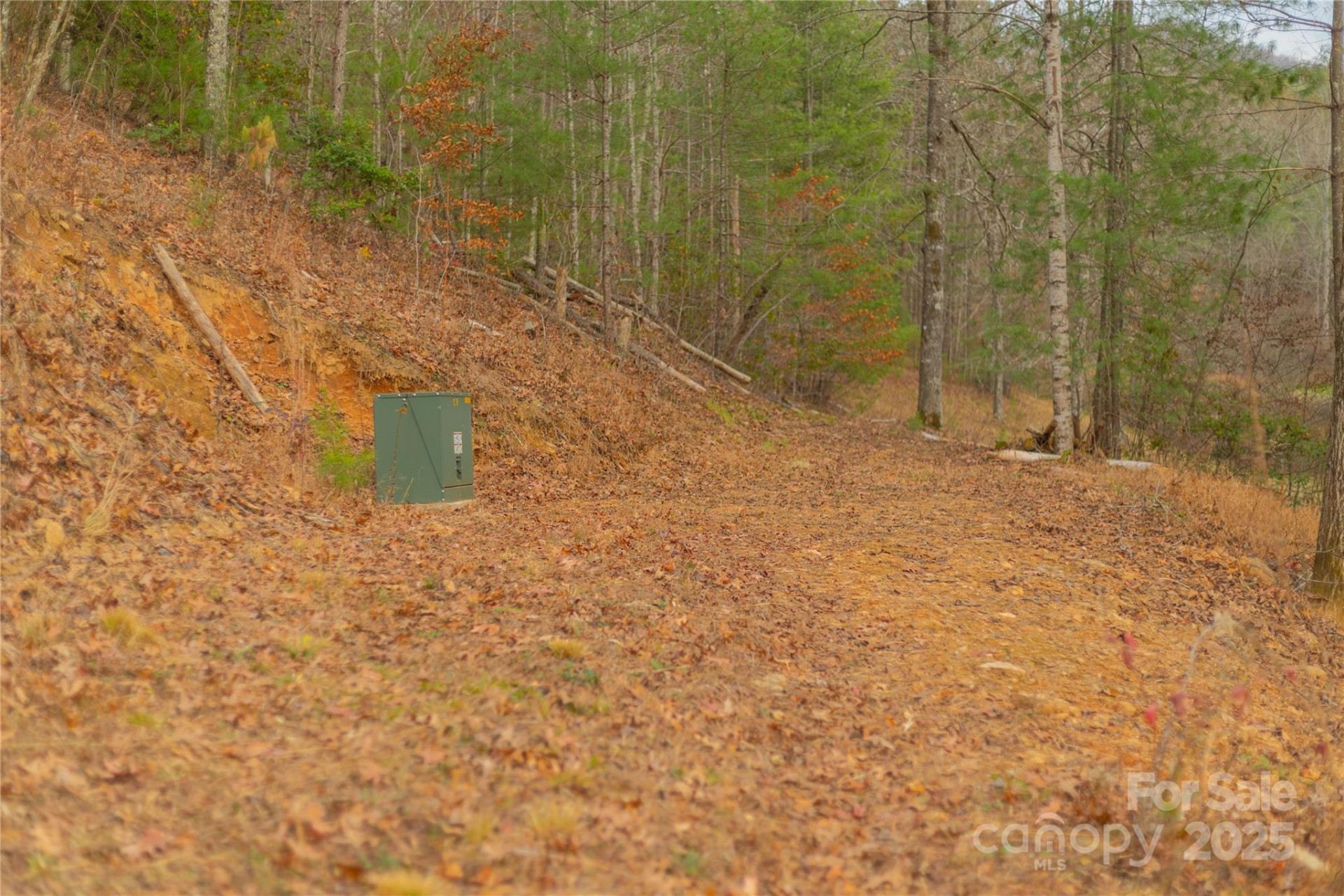 104 Robin Lane - Photo 44