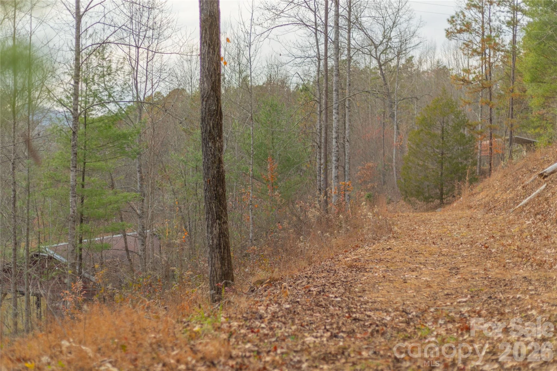 104 Robin Lane - Photo 87