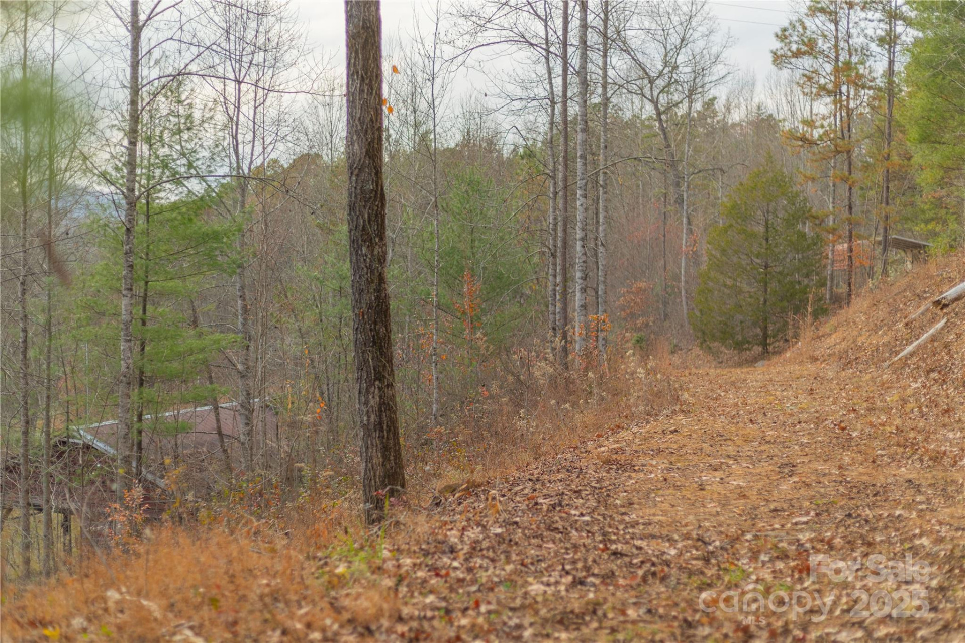 104 Robin Lane - Photo 45