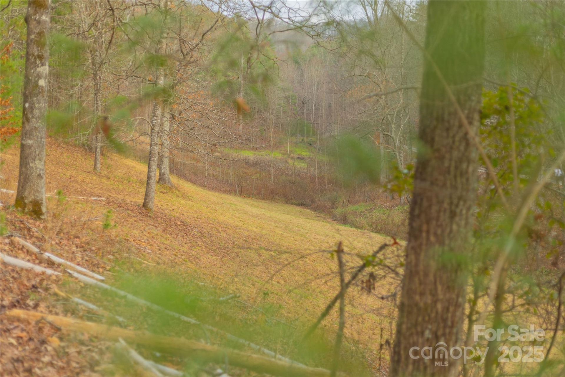 104 Robin Lane - Photo 9