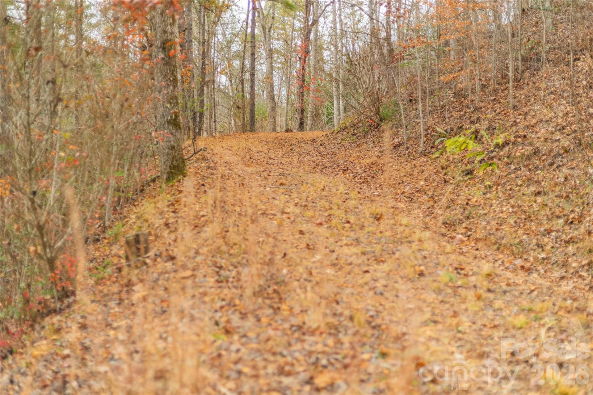 104 Robin Lane - Photo 19