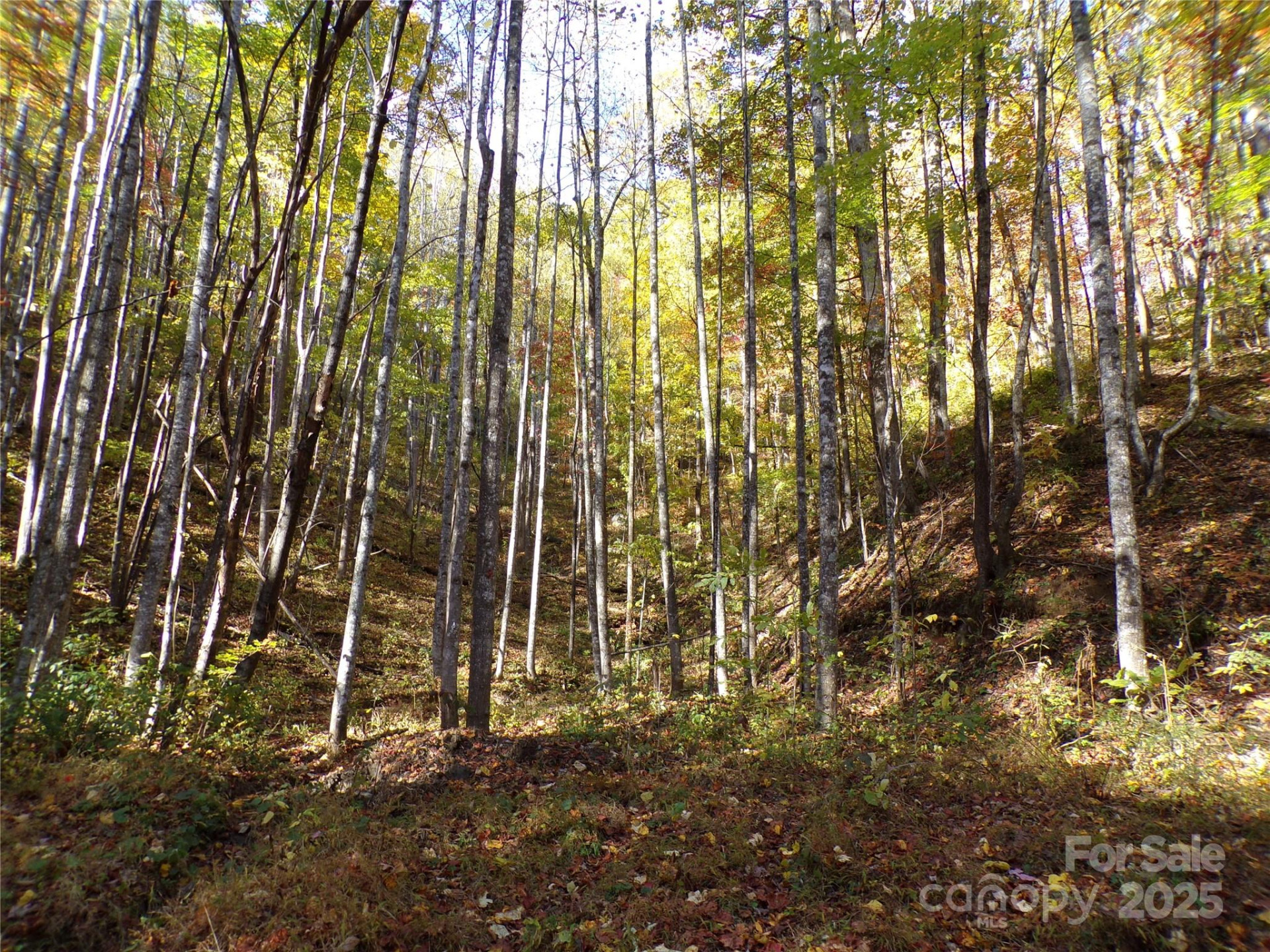 0 High Windy Drive #Lot 388 - Photo 2