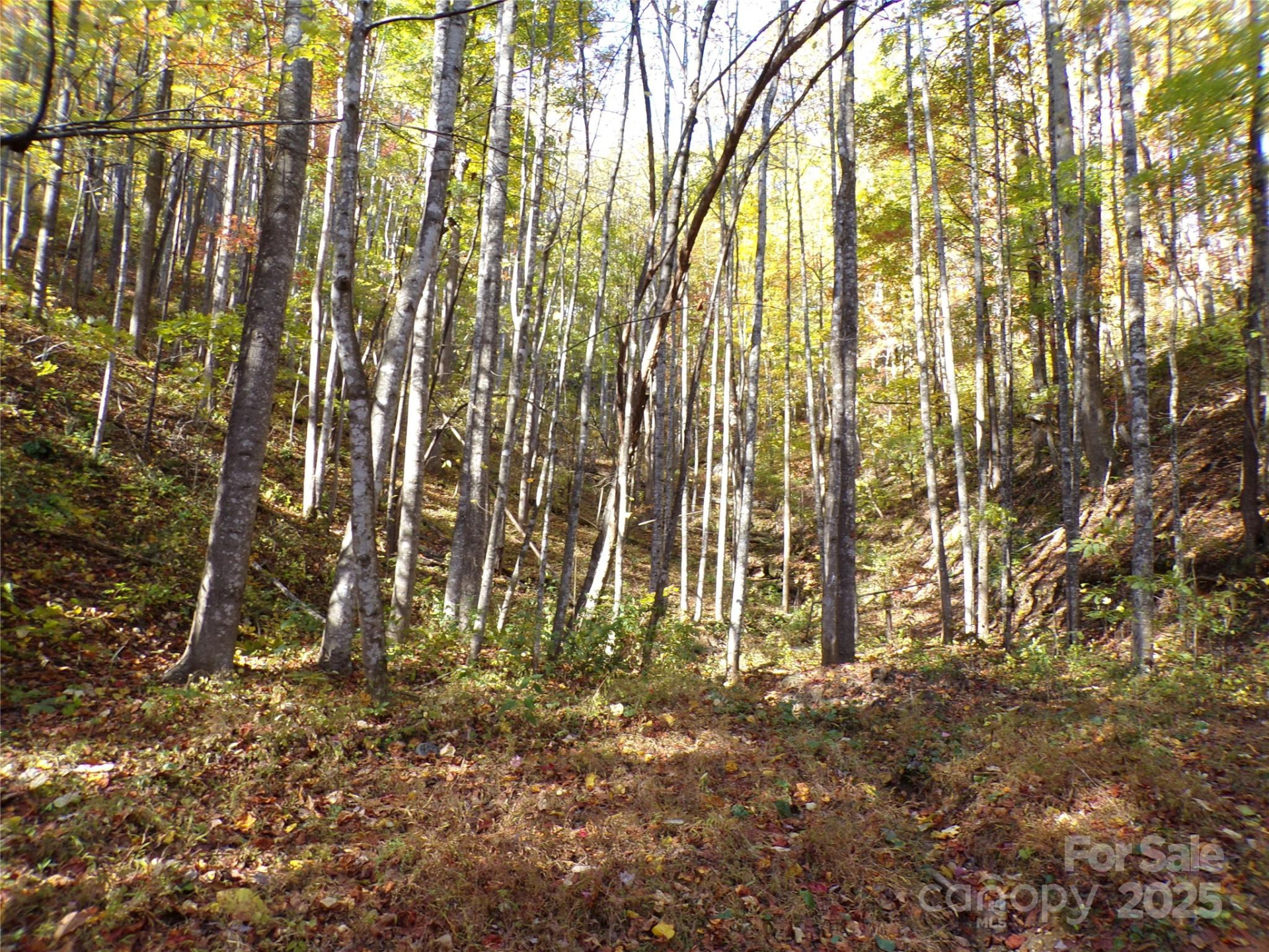 0 High Windy Drive #Lot 388 - Photo 3