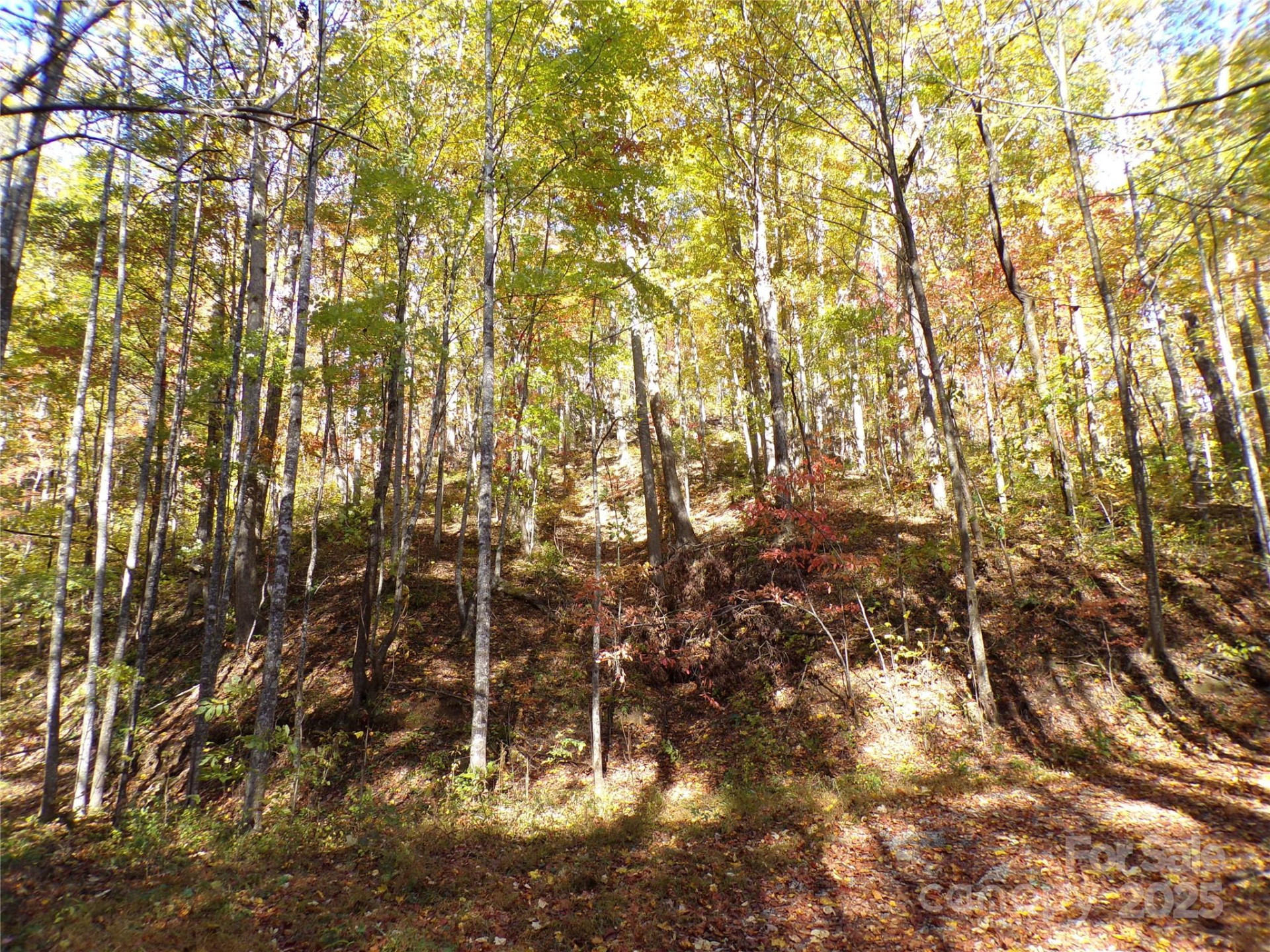 0 High Windy Drive #Lot 388 - Photo 4