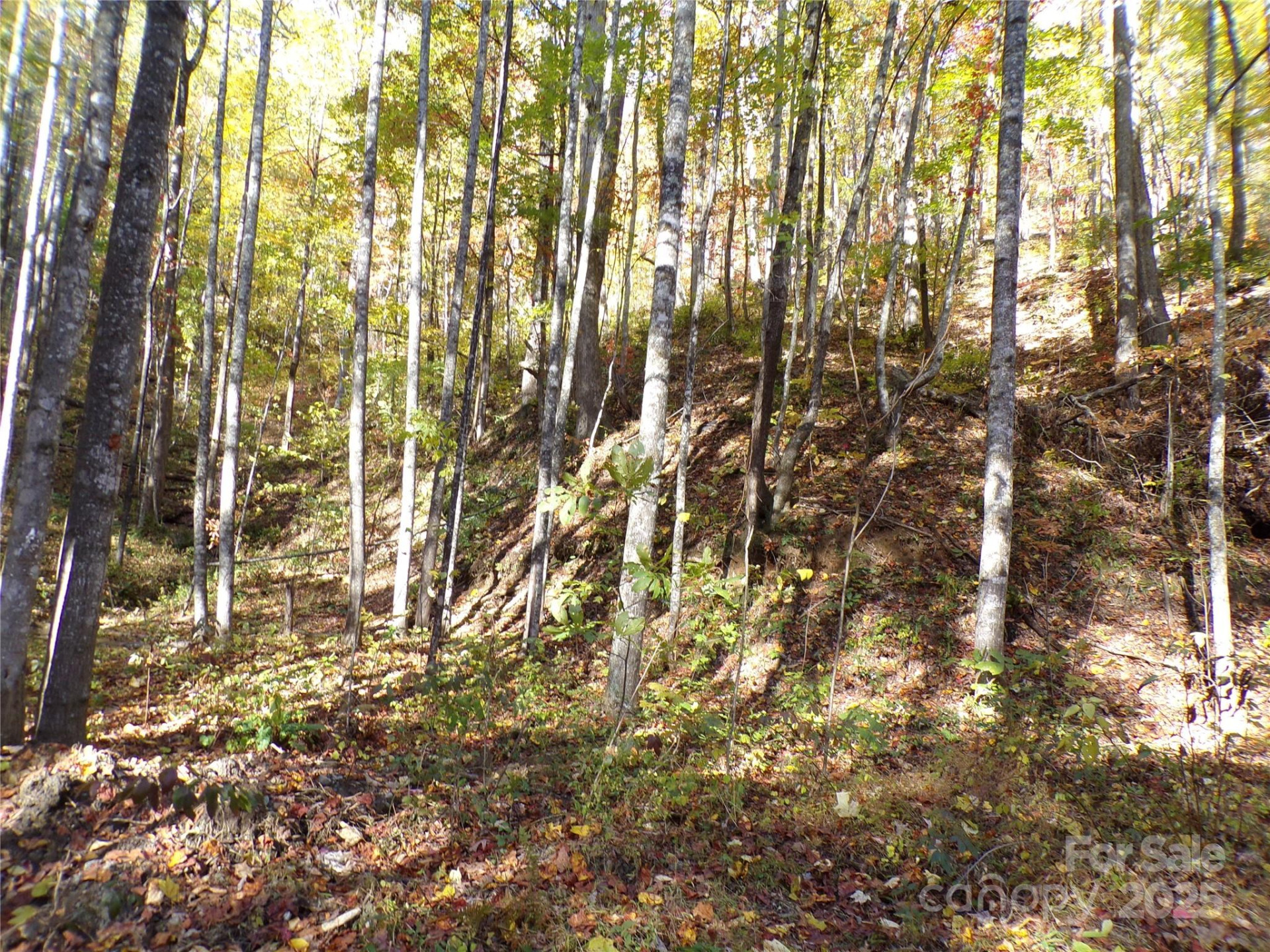 0 High Windy Drive #Lot 388 - Photo 5