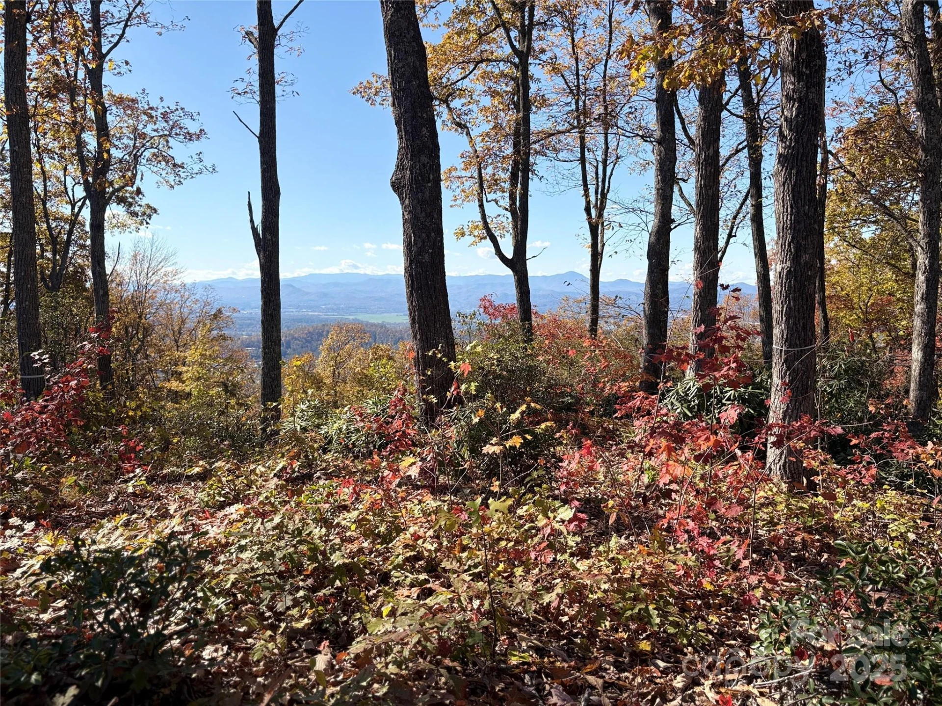 Lot 64 Feather Stone Drive