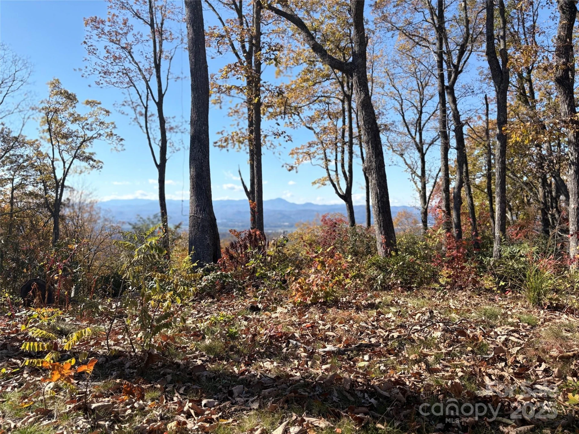 Lot 64 Feather Stone Drive - Photo 2