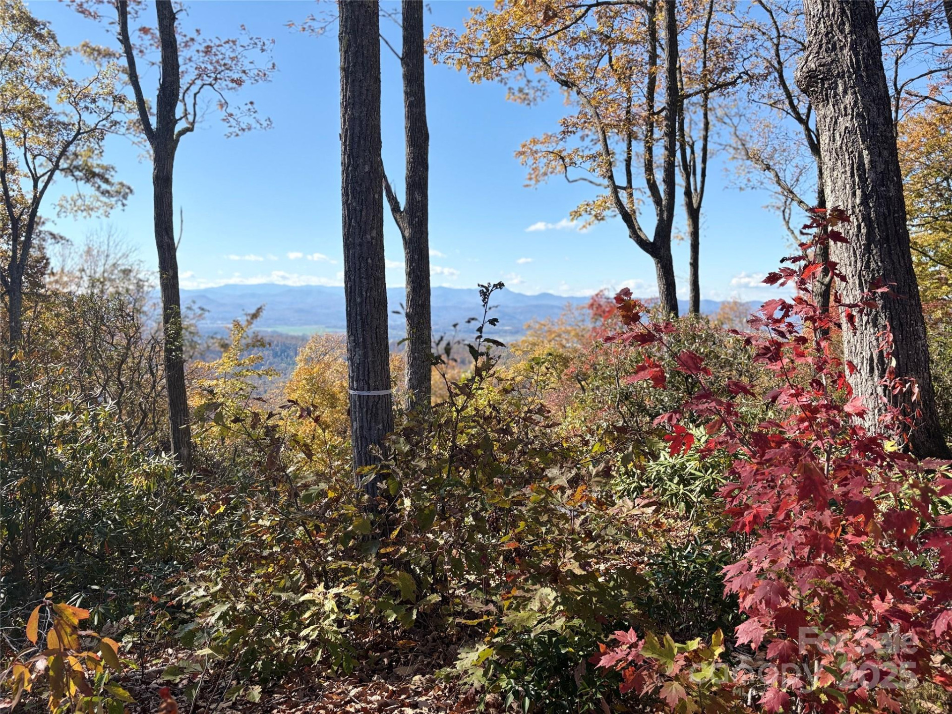 Lot 64 Feather Stone Drive - Photo 3