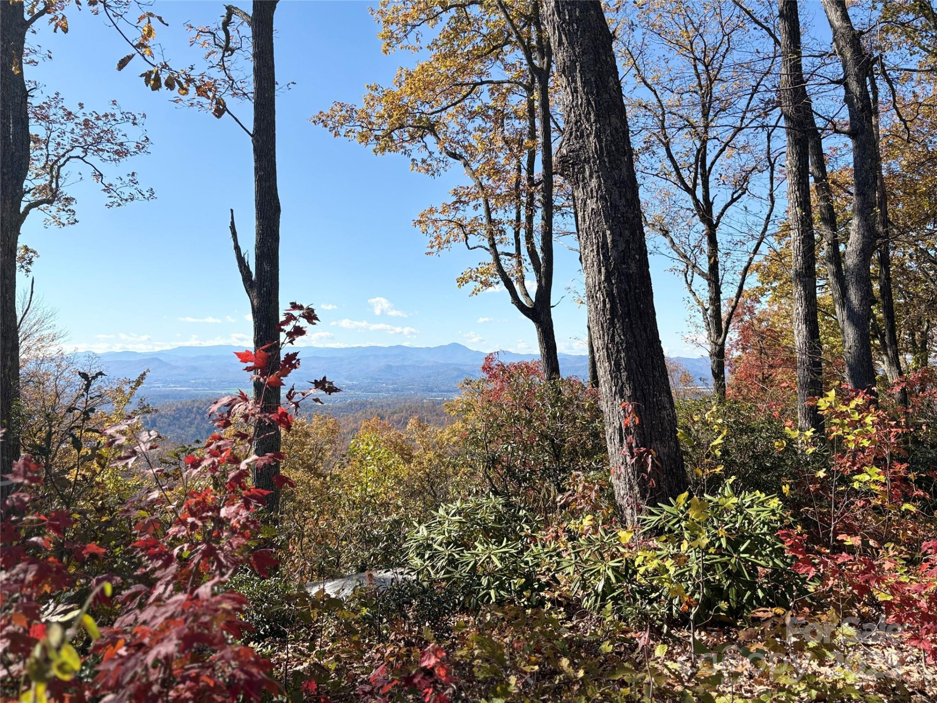 Lot 64 Feather Stone Drive - Photo 4