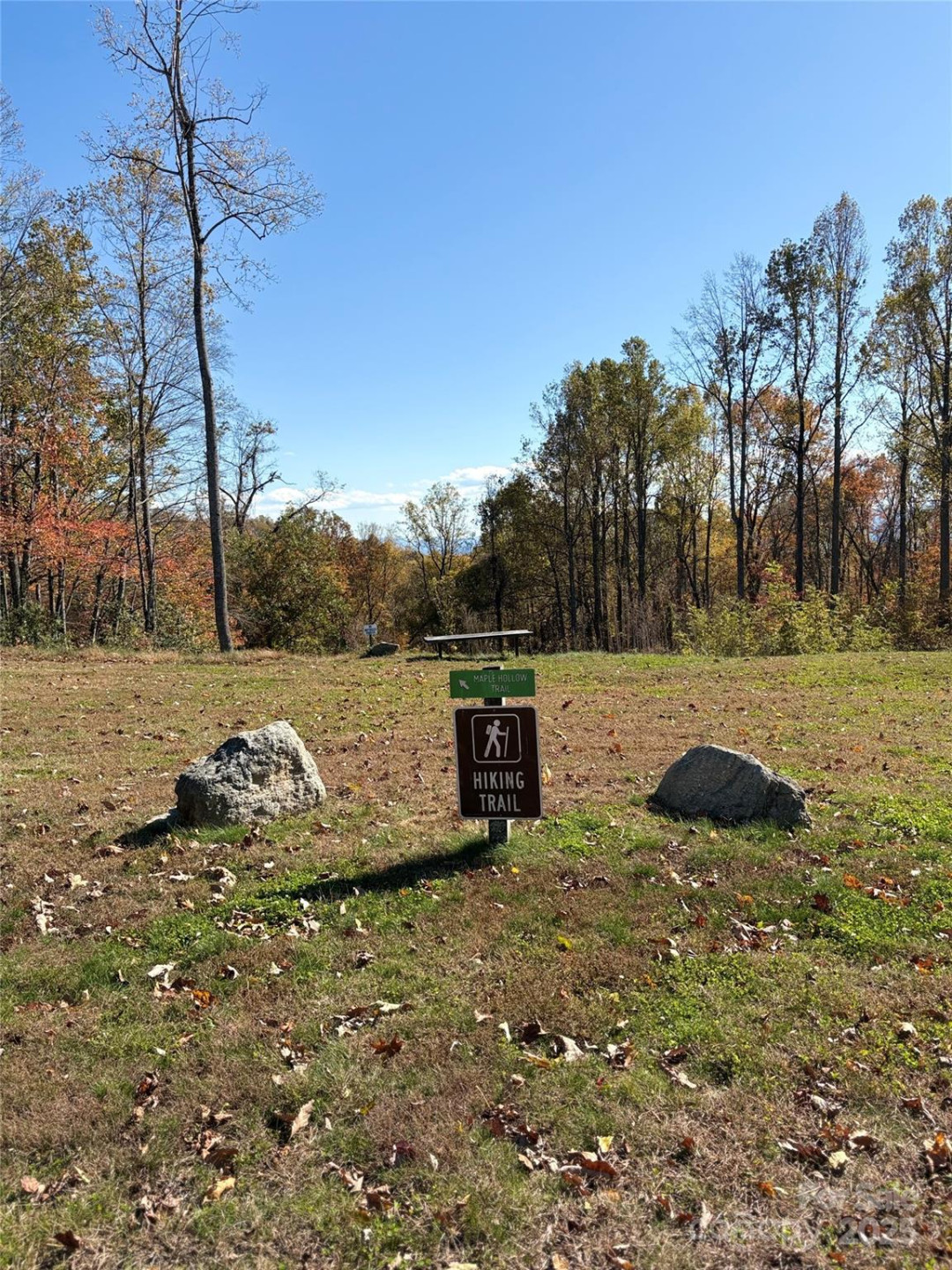 Lot 64 Feather Stone Drive - Photo 6