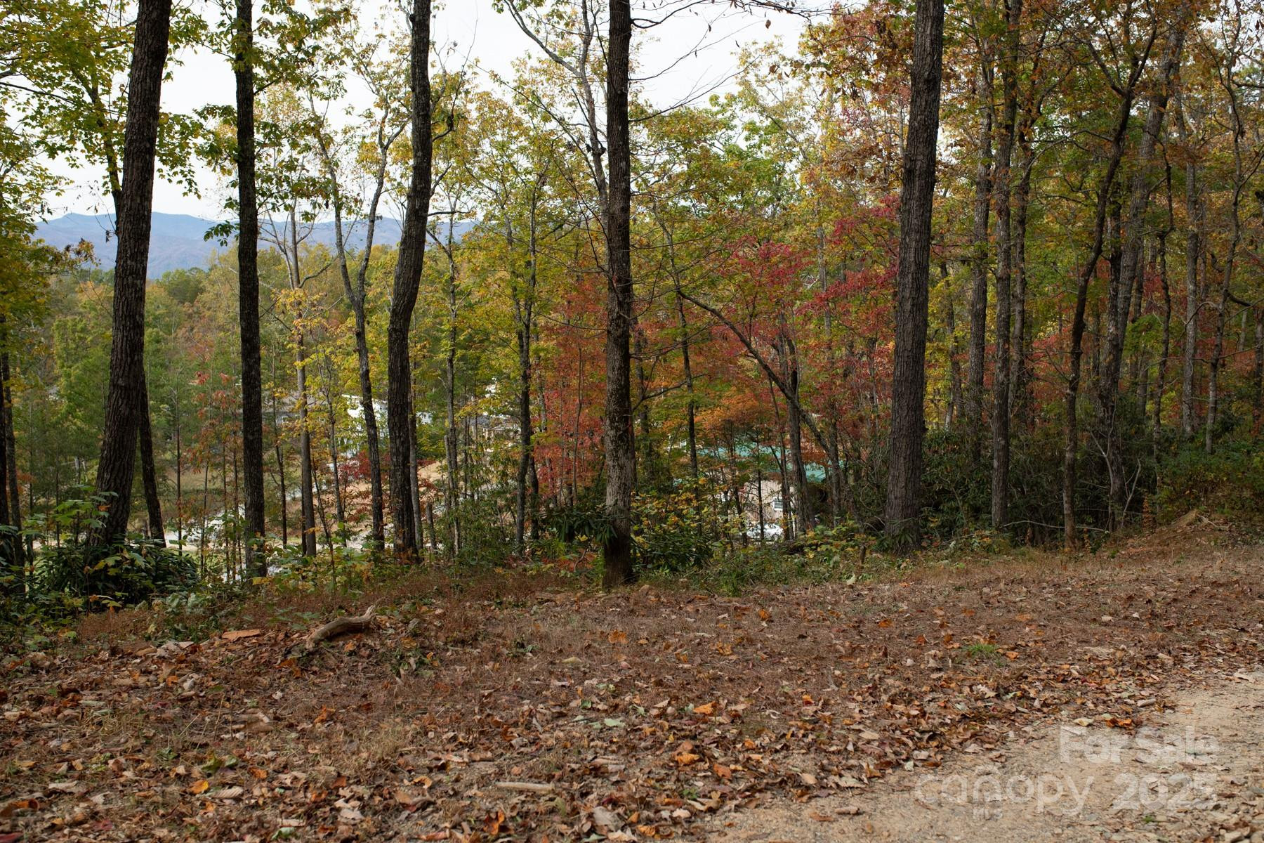154 South Slope Lane #18 - Photo 11