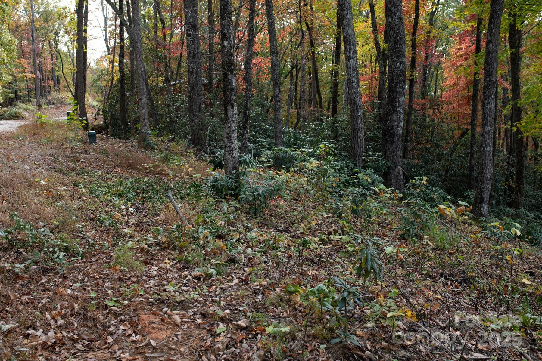 154 South Slope Lane #18 - Photo 12