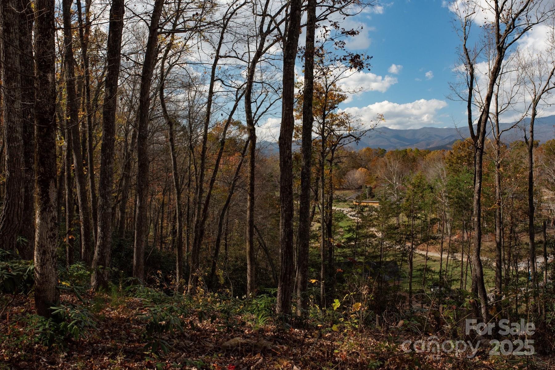 154 South Slope Lane #18 - Photo 3