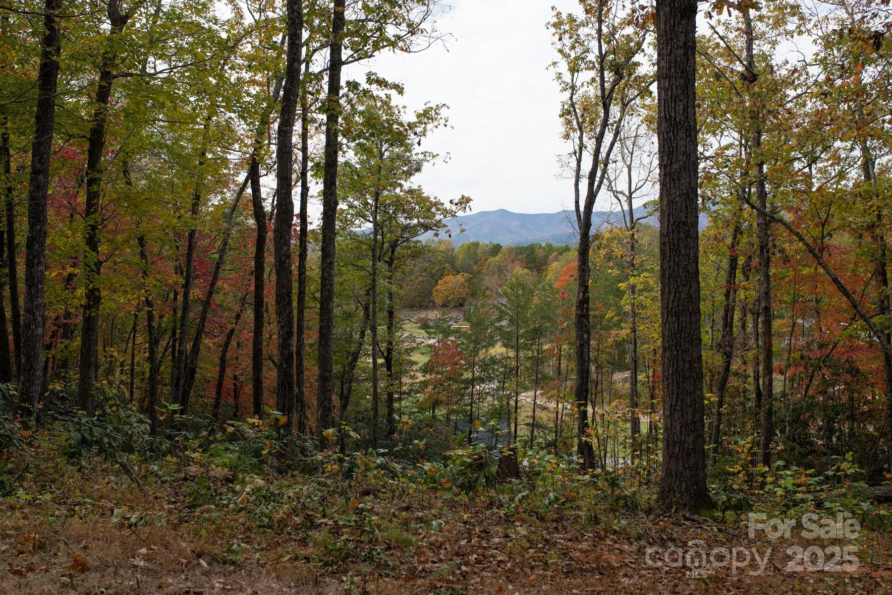 154 South Slope Lane #18 - Photo 4