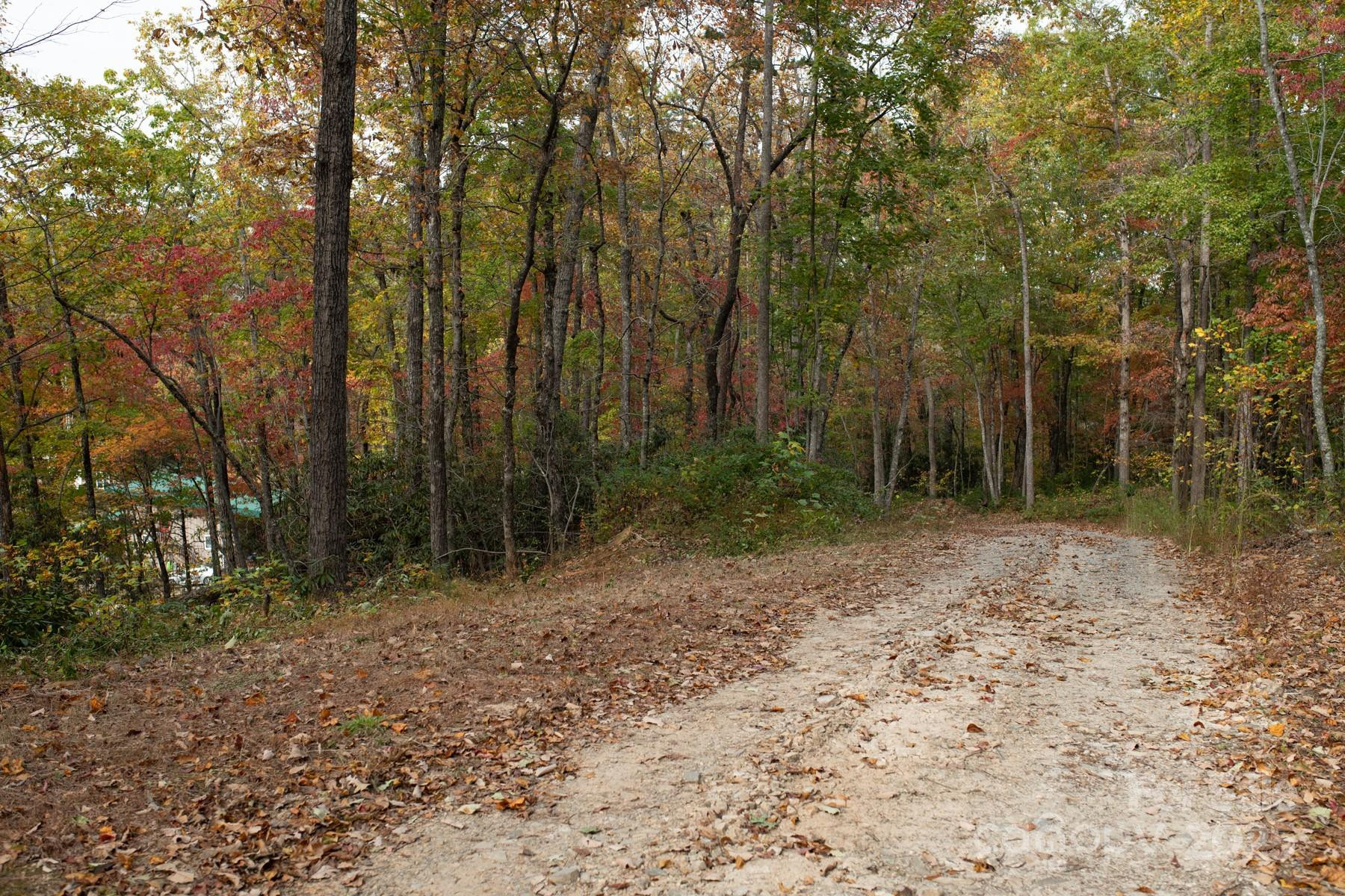 154 South Slope Lane #18 - Photo 5