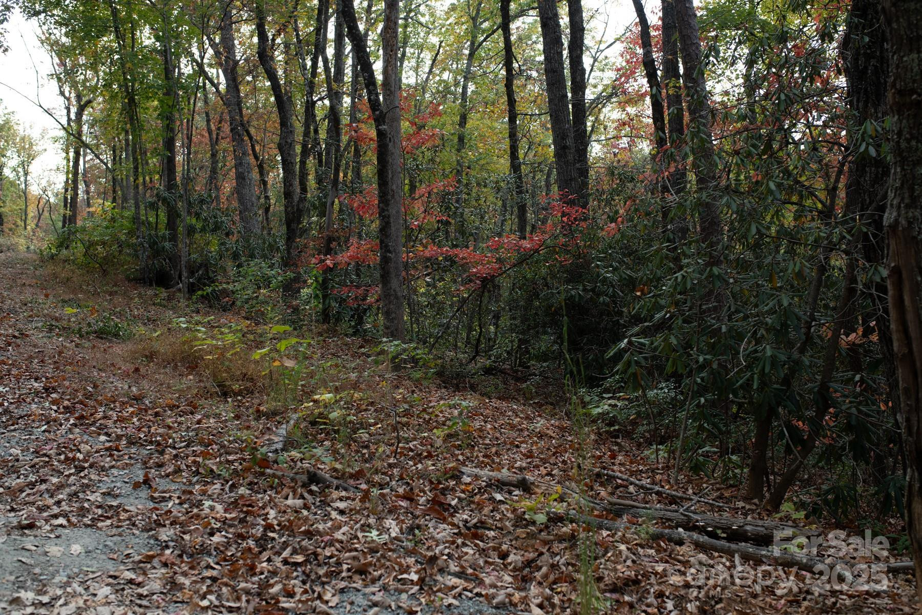 154 South Slope Lane #18 - Photo 6