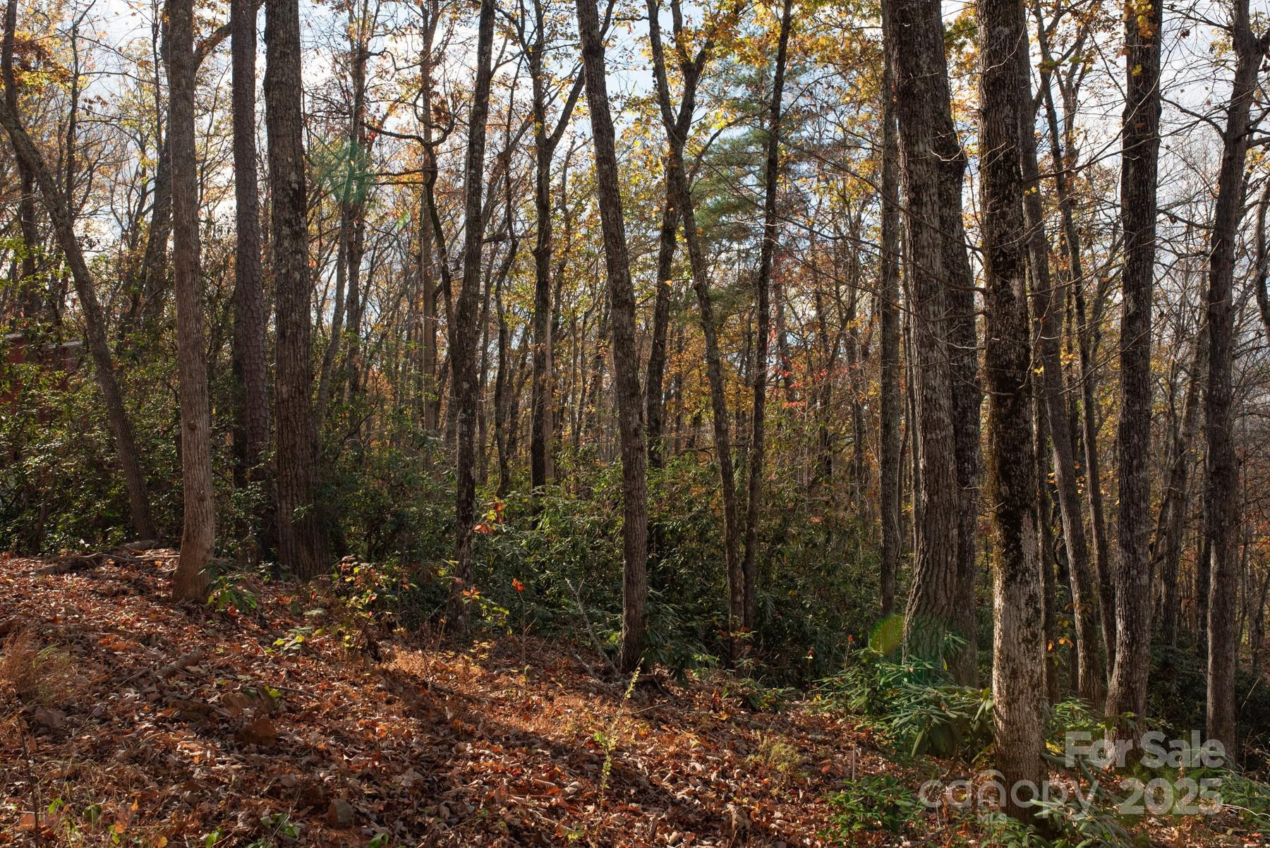 154 South Slope Lane #18 - Photo 7