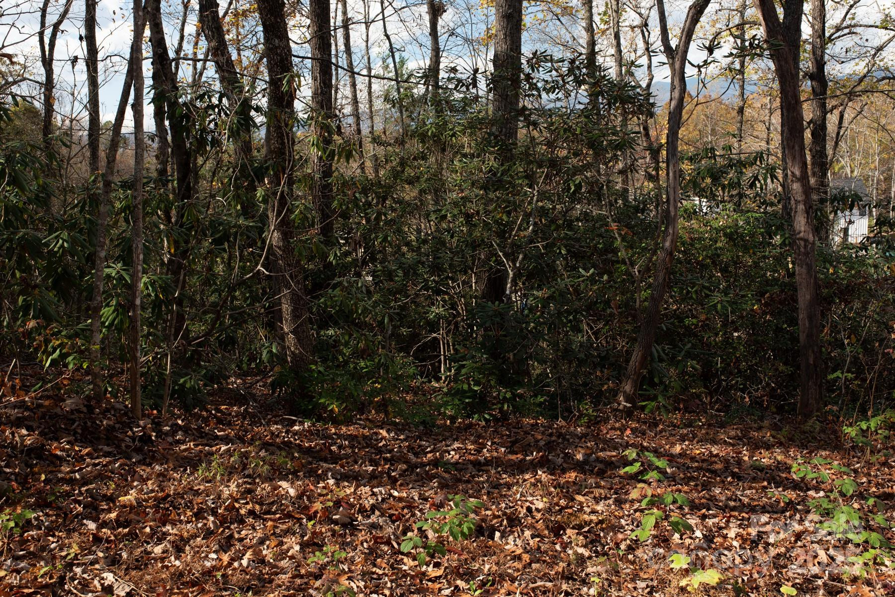 154 South Slope Lane #18 - Photo 8