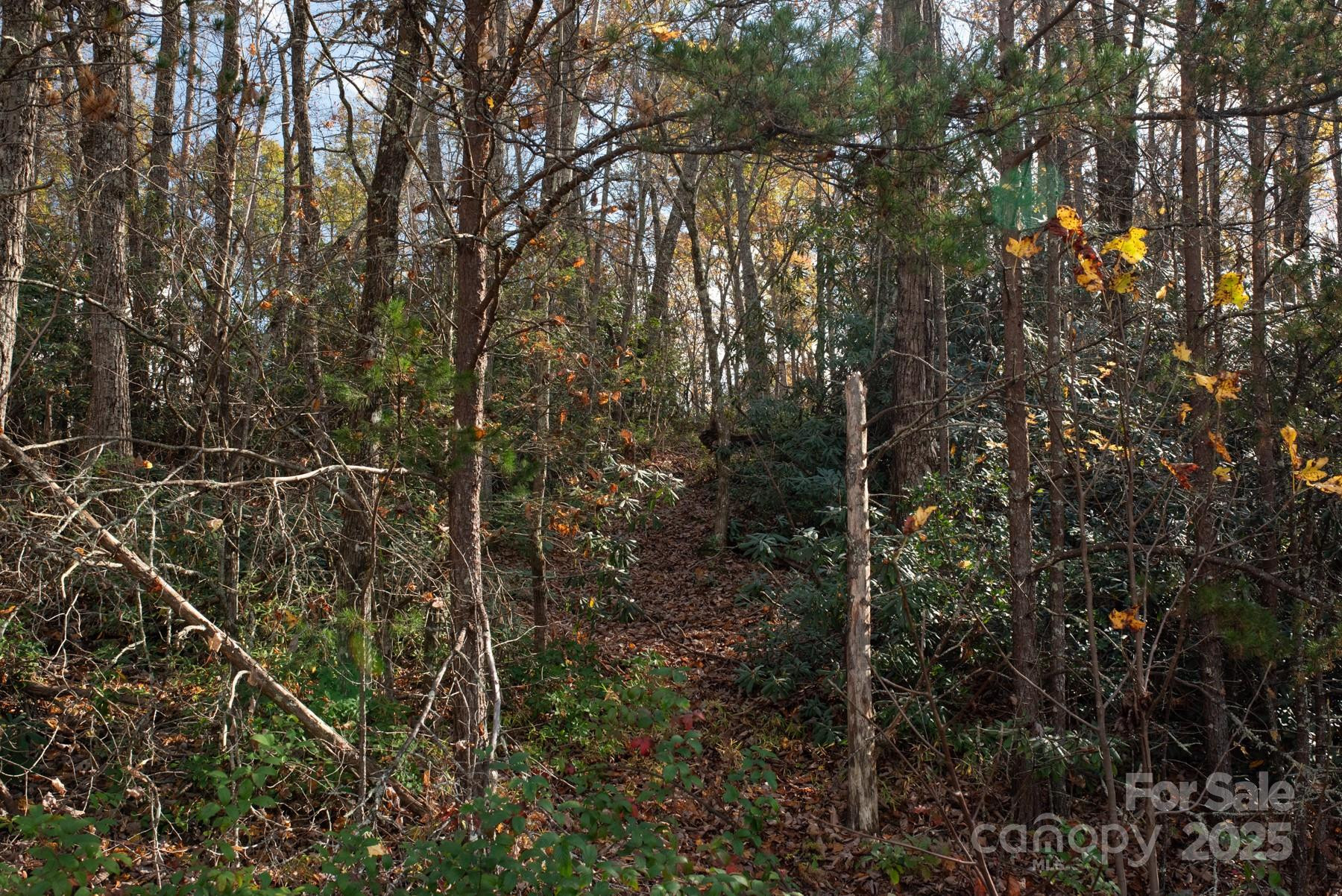 154 South Slope Lane #18 - Photo 9