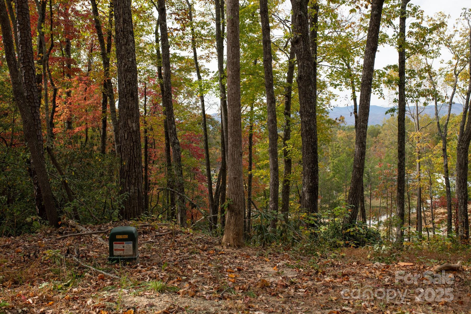 154 South Slope Lane #18 - Photo 10