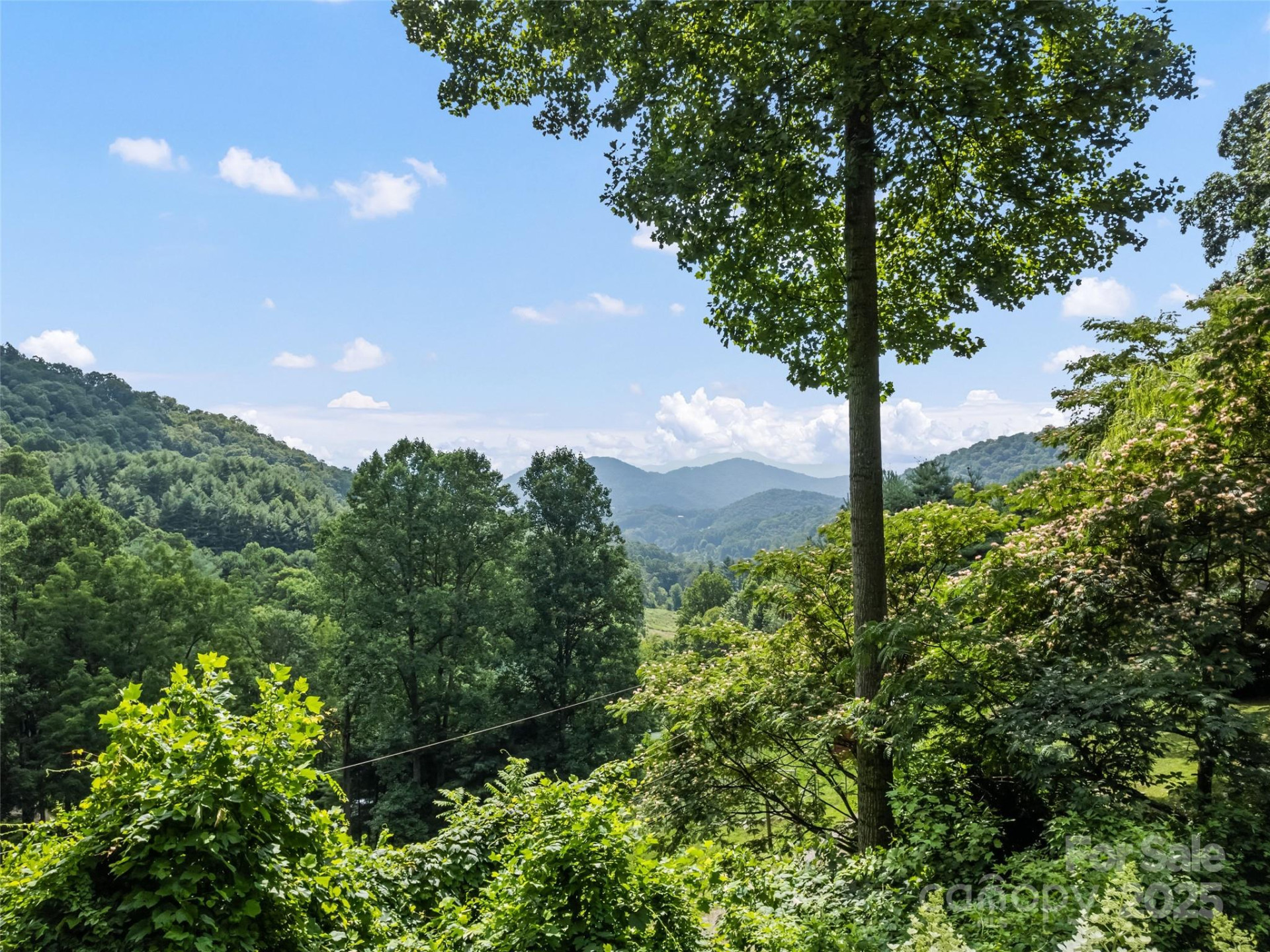 318 Grapevine Cove - Photo 3