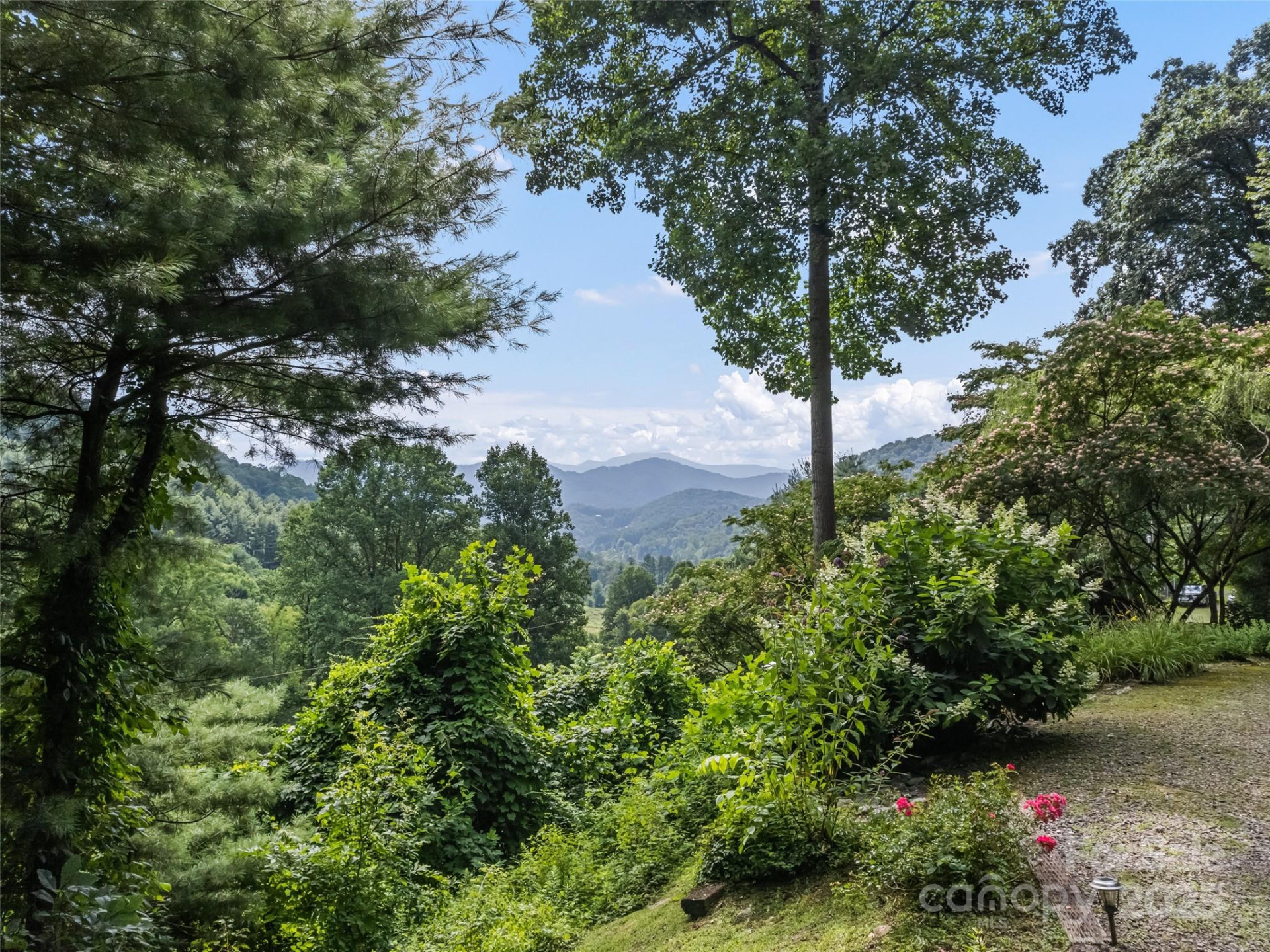 318 Grapevine Cove - Photo 25
